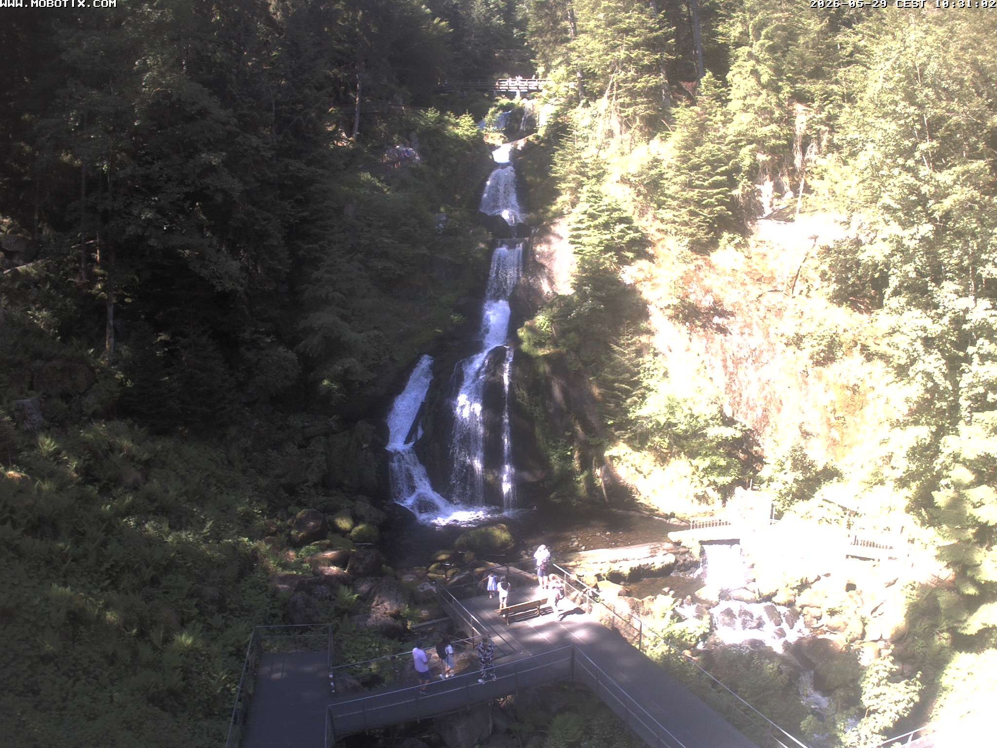 Archived image Webcam Triberg (Black Forest): Waterfalls