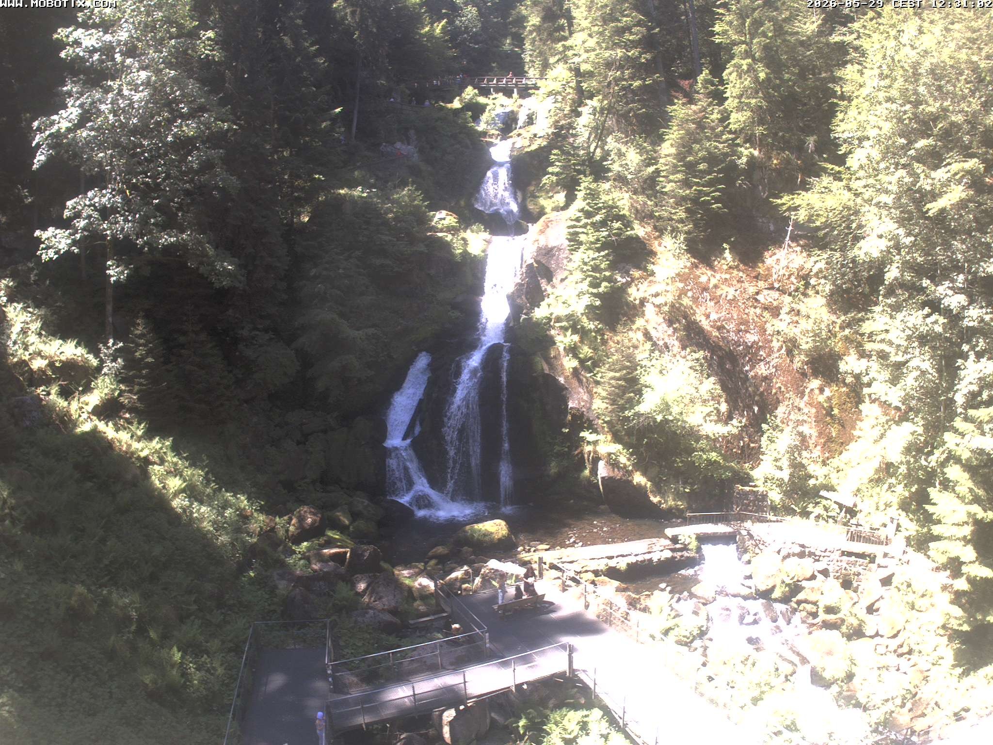 Archived image Webcam Triberg (Black Forest): Waterfalls