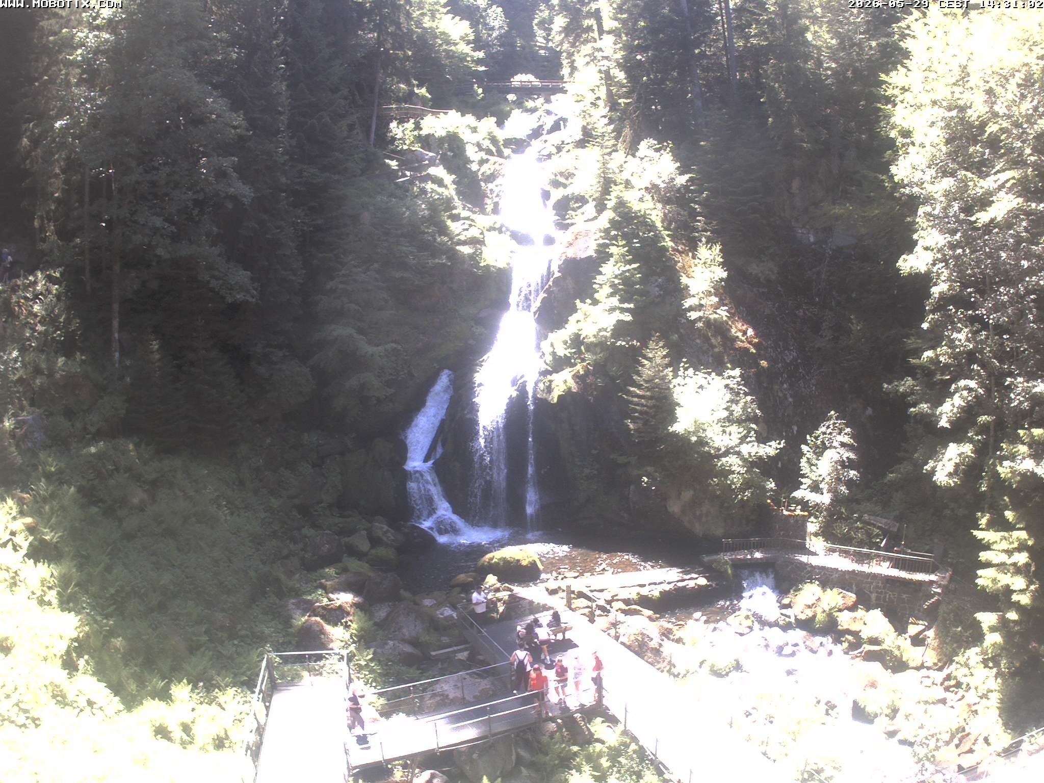 Archived image Webcam Triberg (Black Forest): Waterfalls
