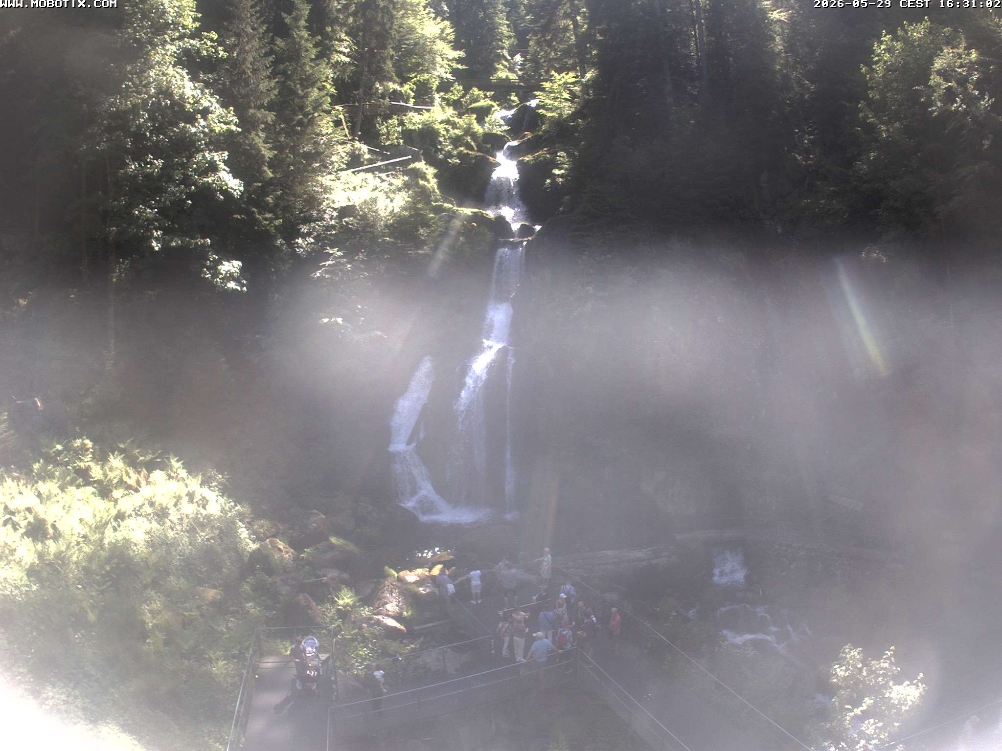 Archived image Webcam Triberg (Black Forest): Waterfalls
