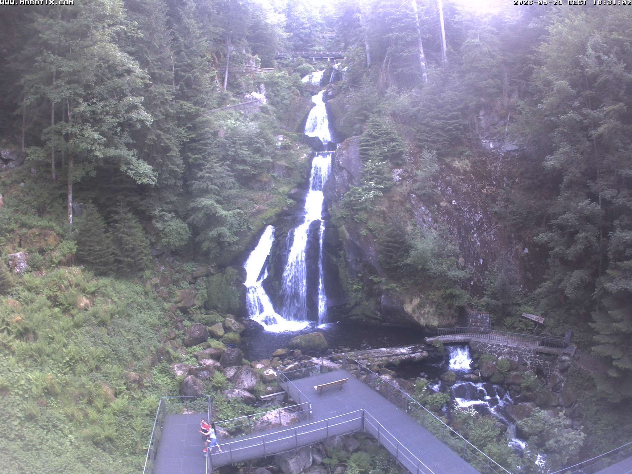 Archived image Webcam Triberg (Black Forest): Waterfalls