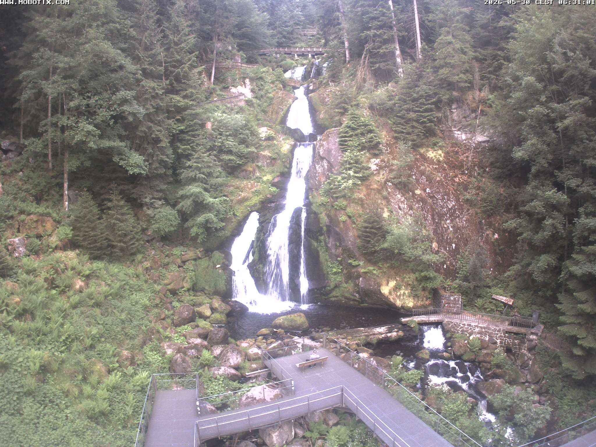 Archiv Foto Webcam Triberg Wasserfälle im Schwarzwald