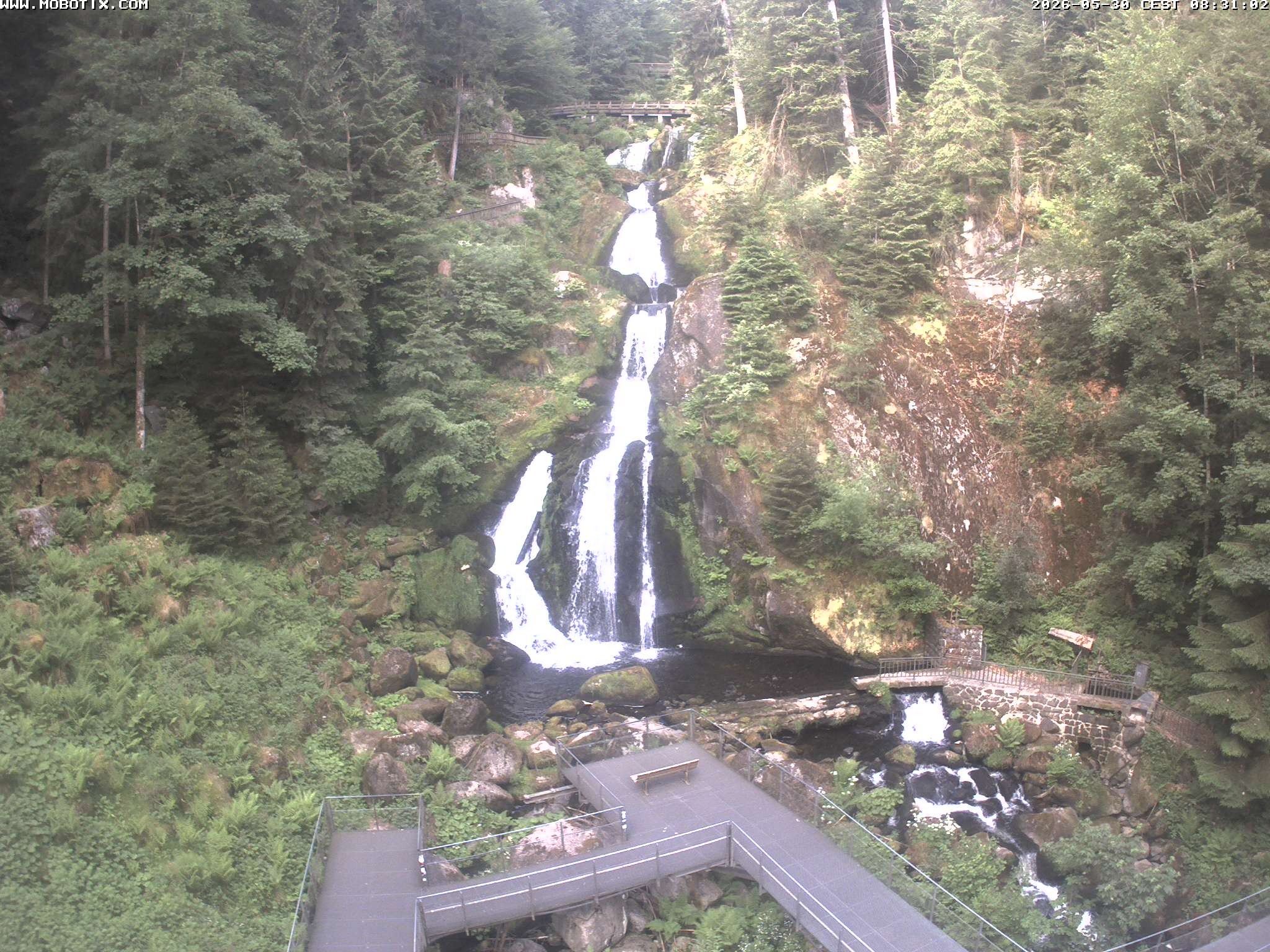 Archiv Foto Webcam Triberg Wasserfälle im Schwarzwald