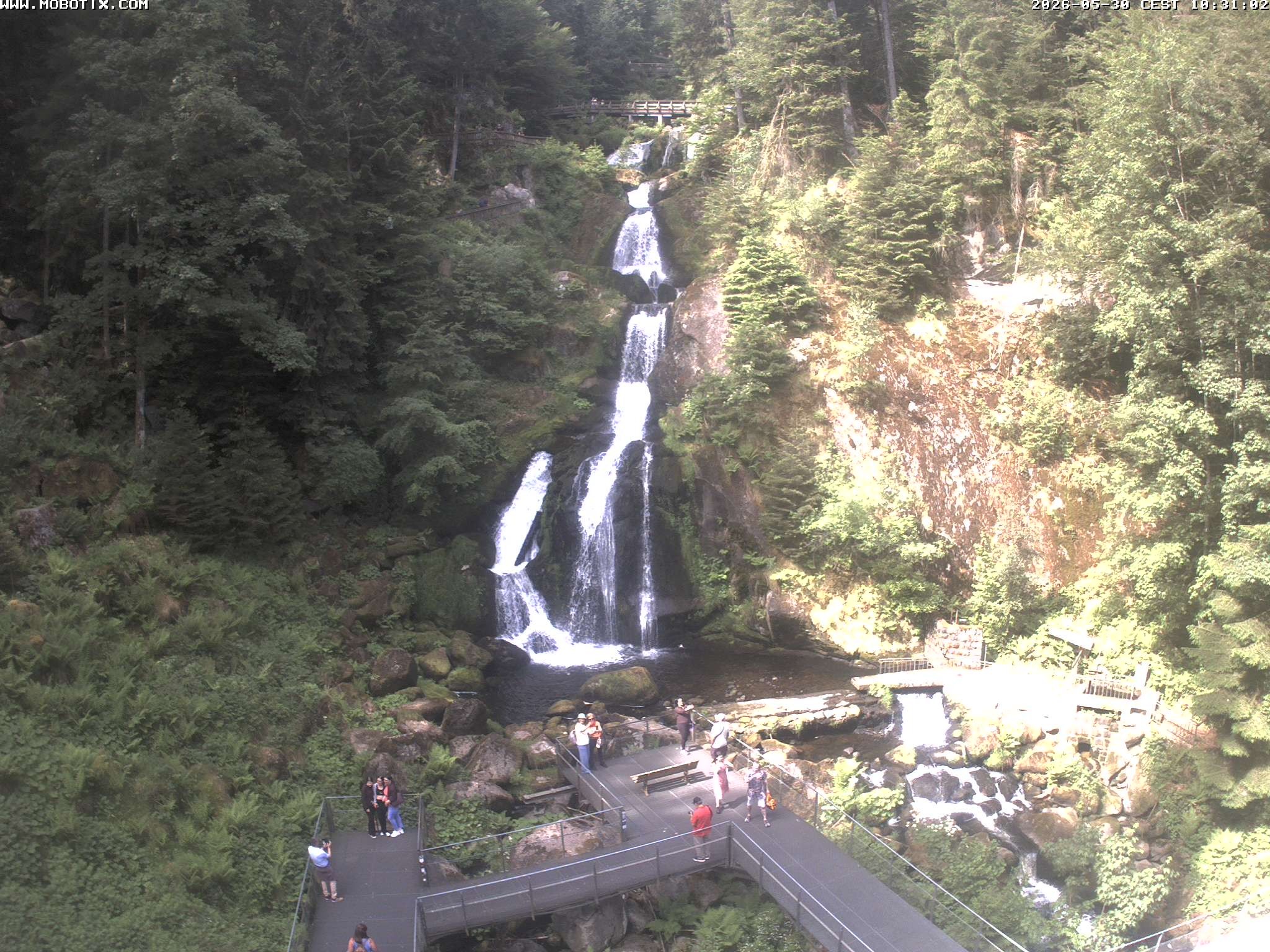 Archiv Foto Webcam Triberg Wasserfälle im Schwarzwald