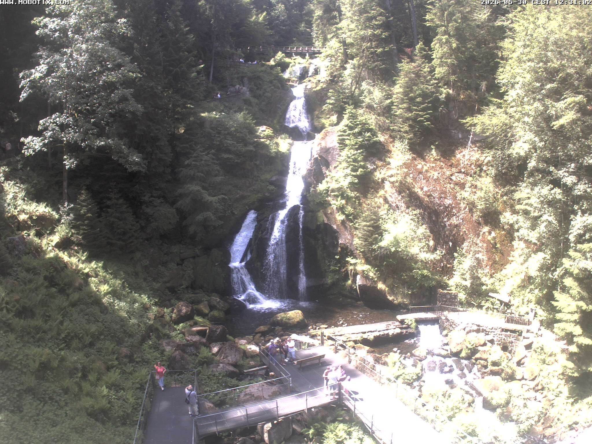 Archived image Webcam Triberg (Black Forest): Waterfalls