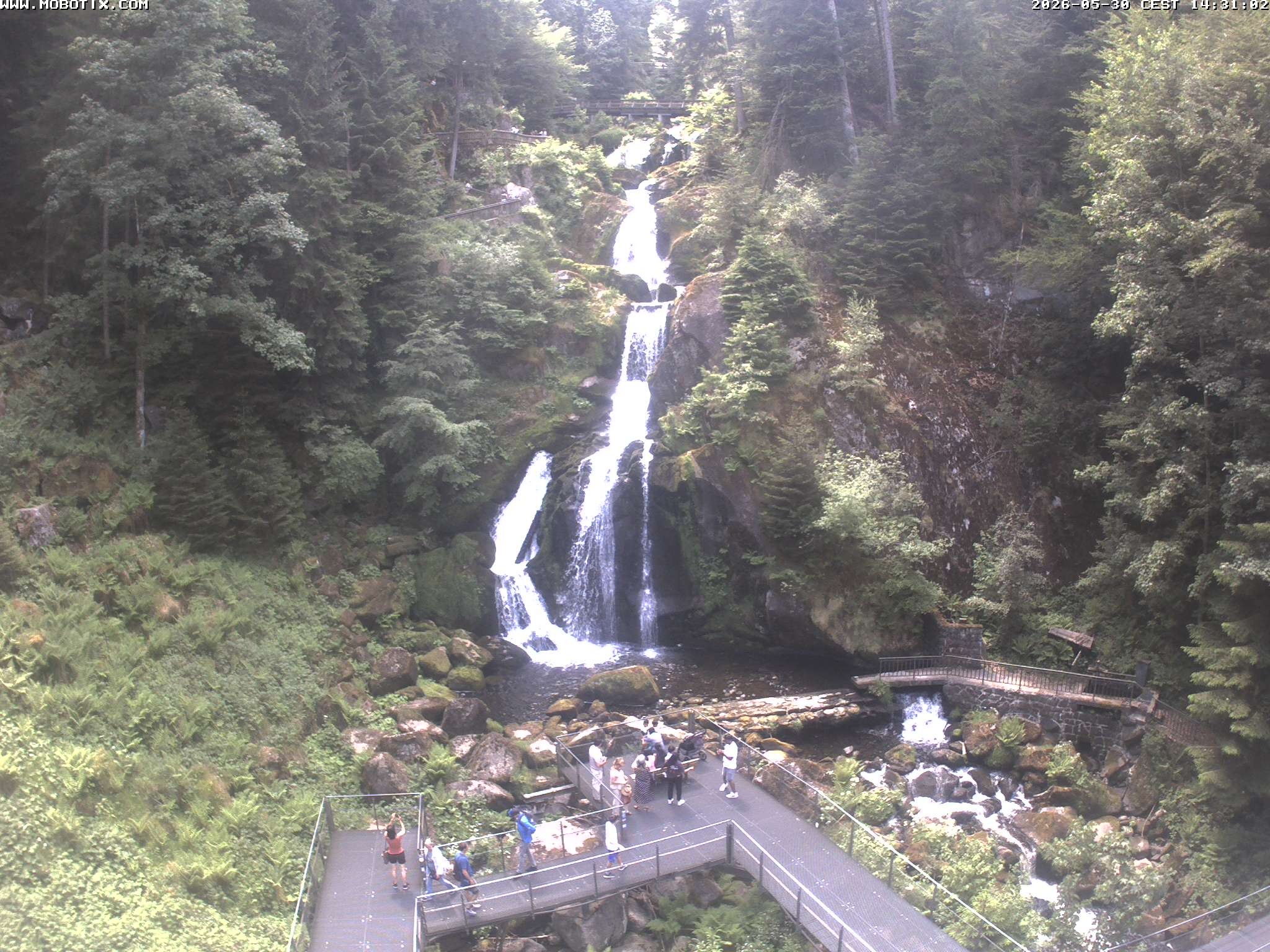 Archiv Foto Webcam Triberg Wasserfälle im Schwarzwald