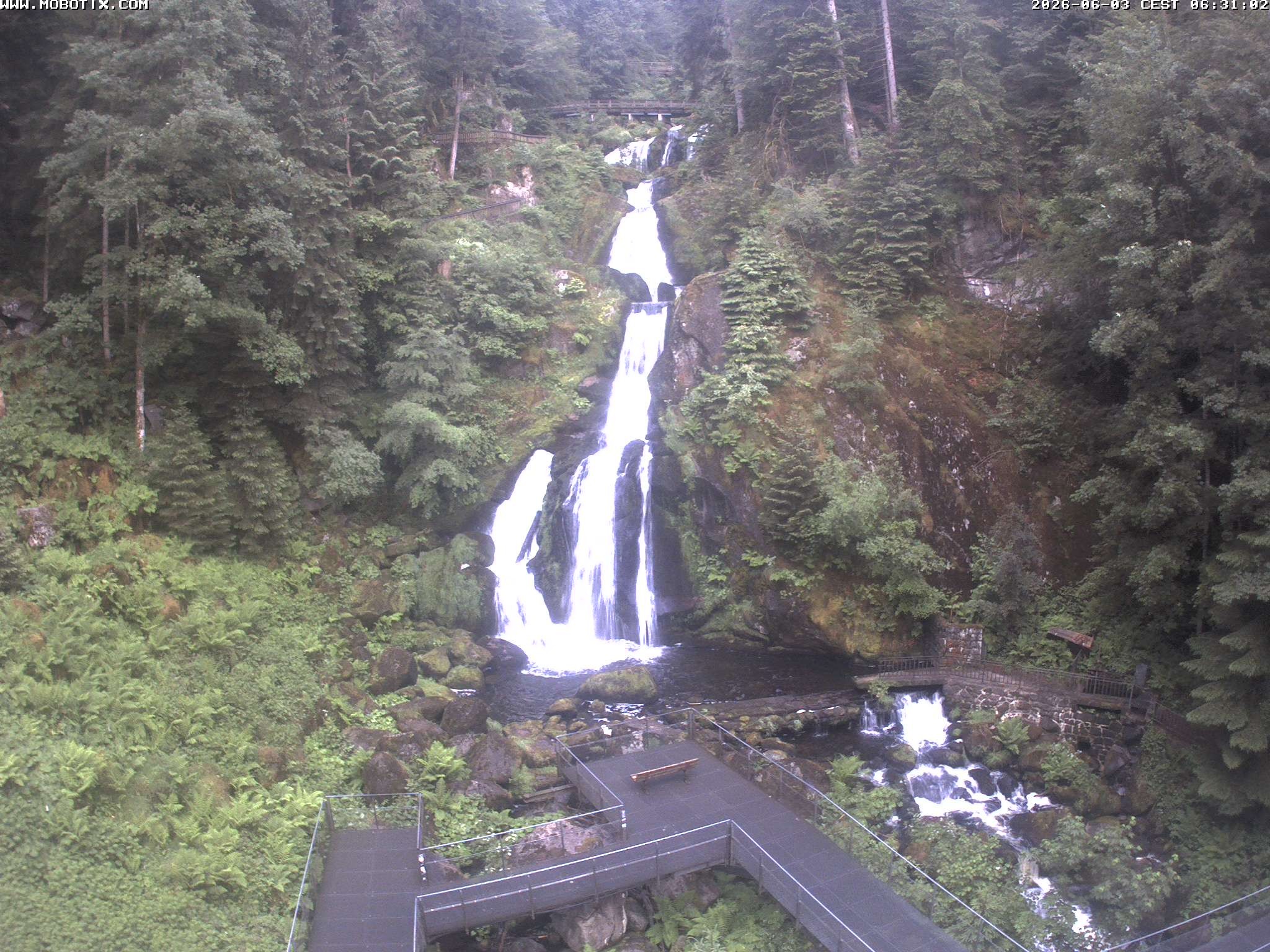 Archived image Webcam Triberg (Black Forest): Waterfalls