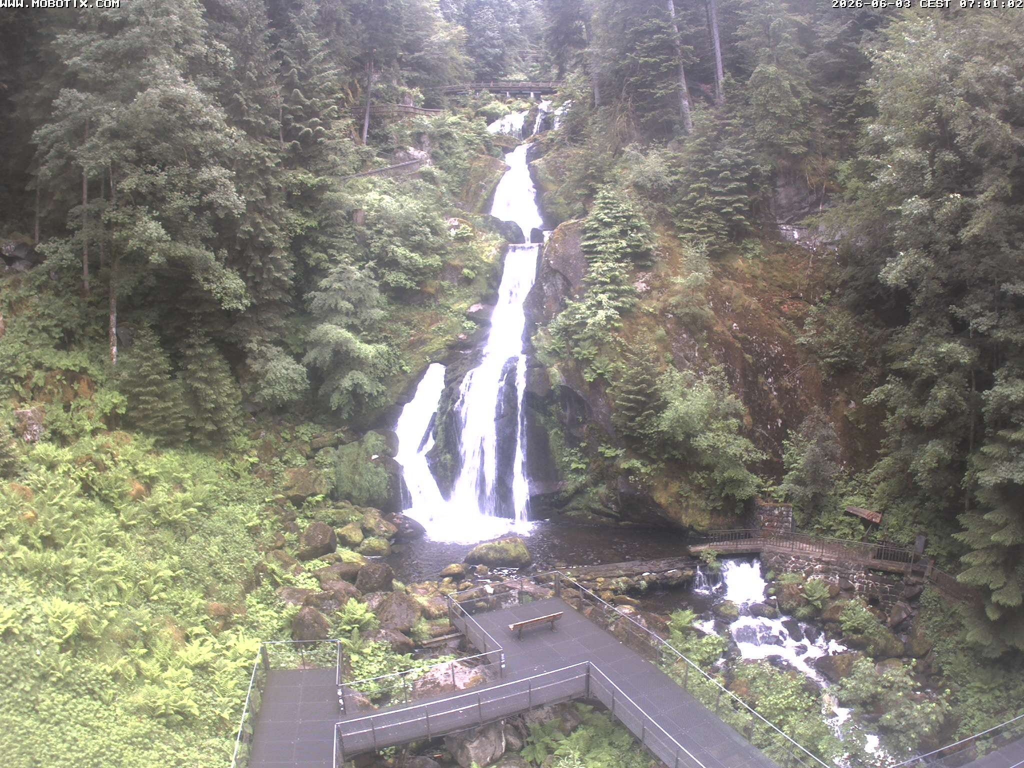 Archived image Webcam Triberg (Black Forest): Waterfalls