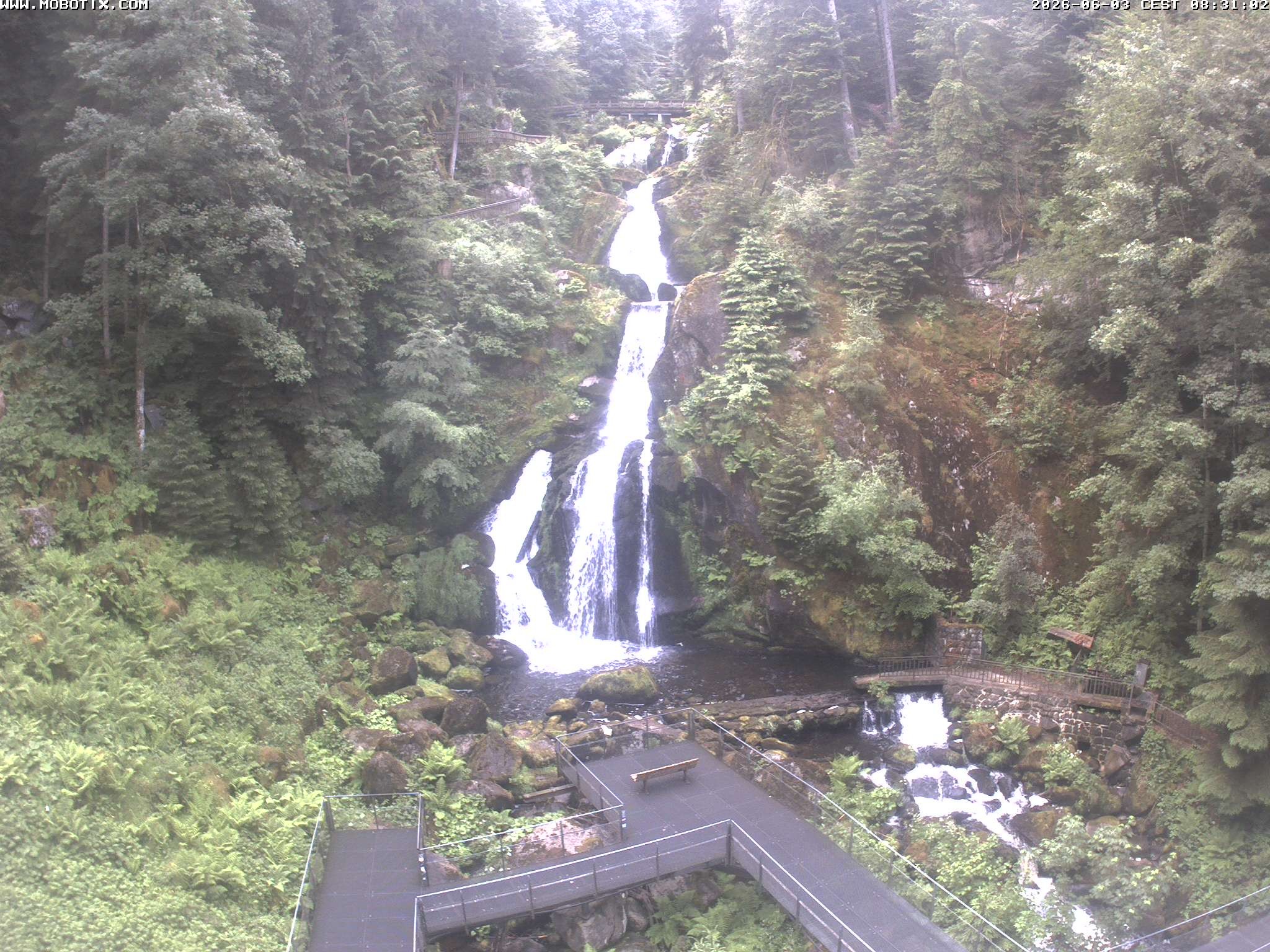 Archived image Webcam Triberg (Black Forest): Waterfalls