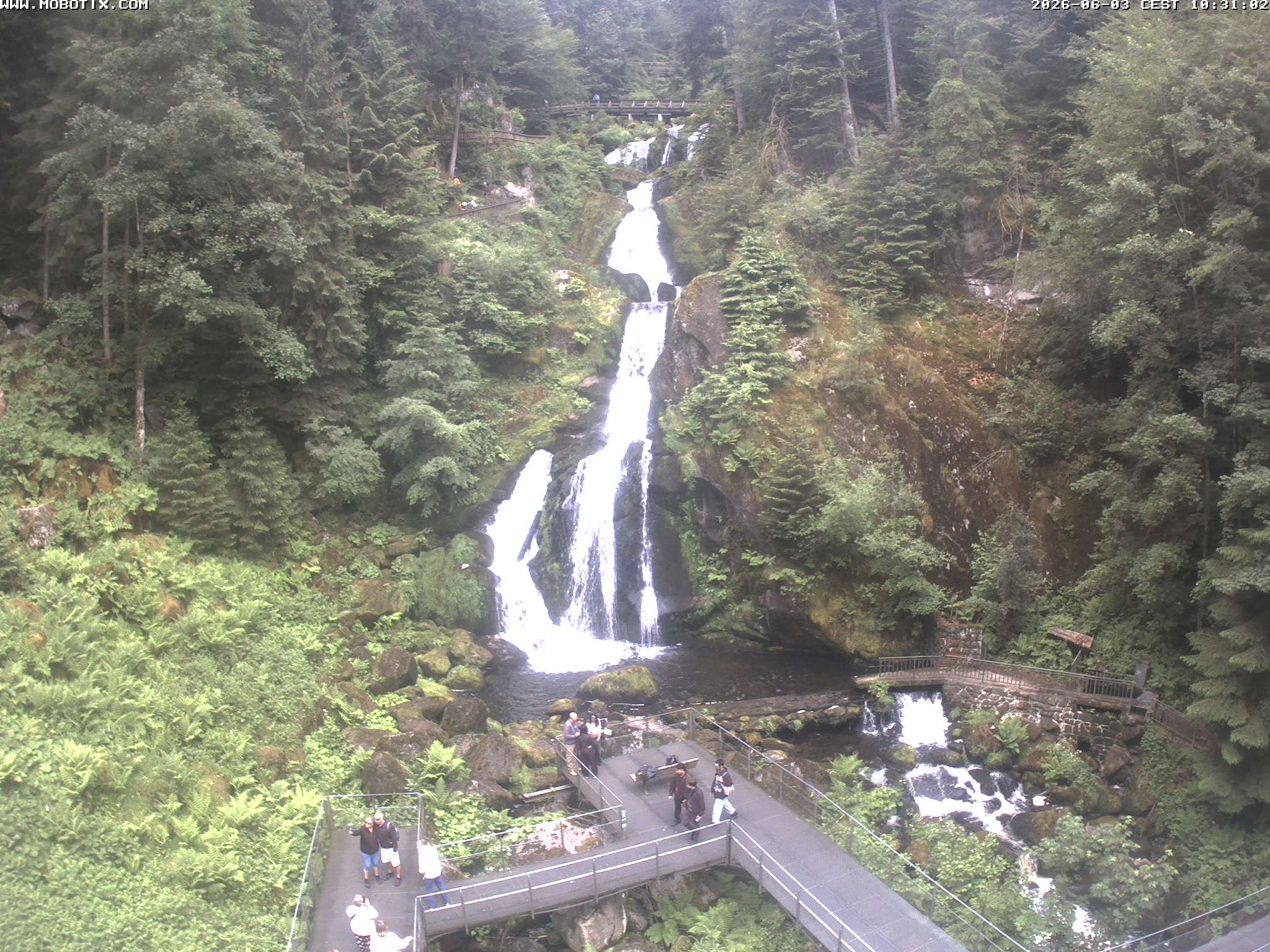 Archived image Webcam Triberg (Black Forest): Waterfalls