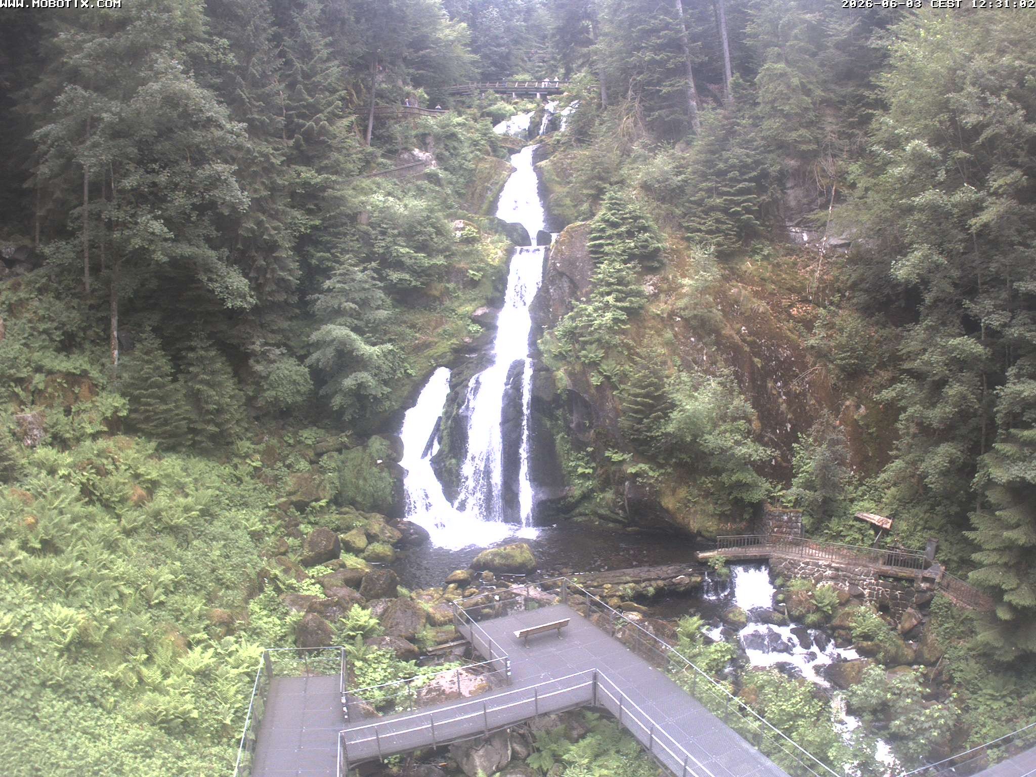 Archived image Webcam Triberg (Black Forest): Waterfalls