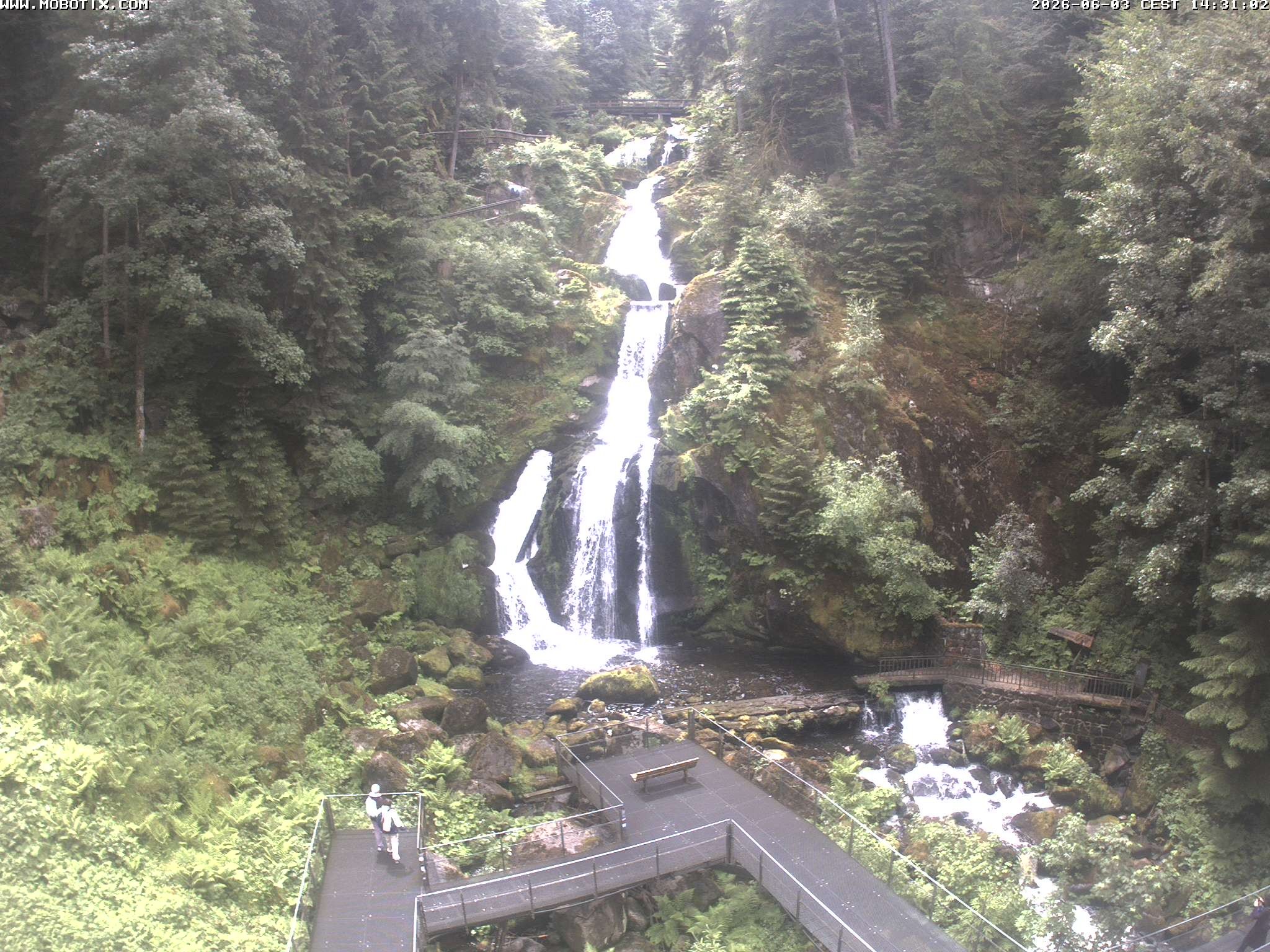 Archived image Webcam Triberg (Black Forest): Waterfalls