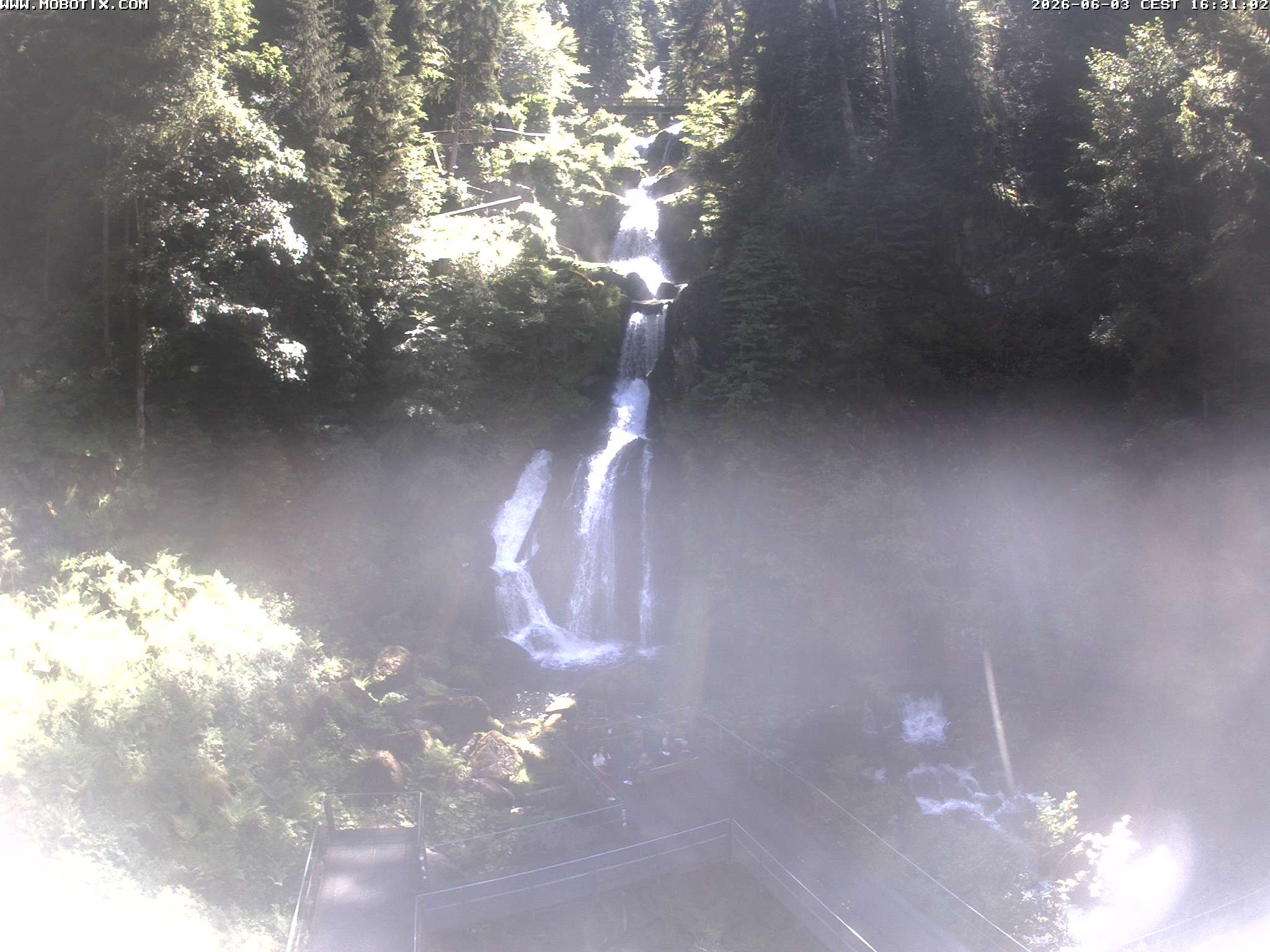 Archived image Webcam Triberg (Black Forest): Waterfalls