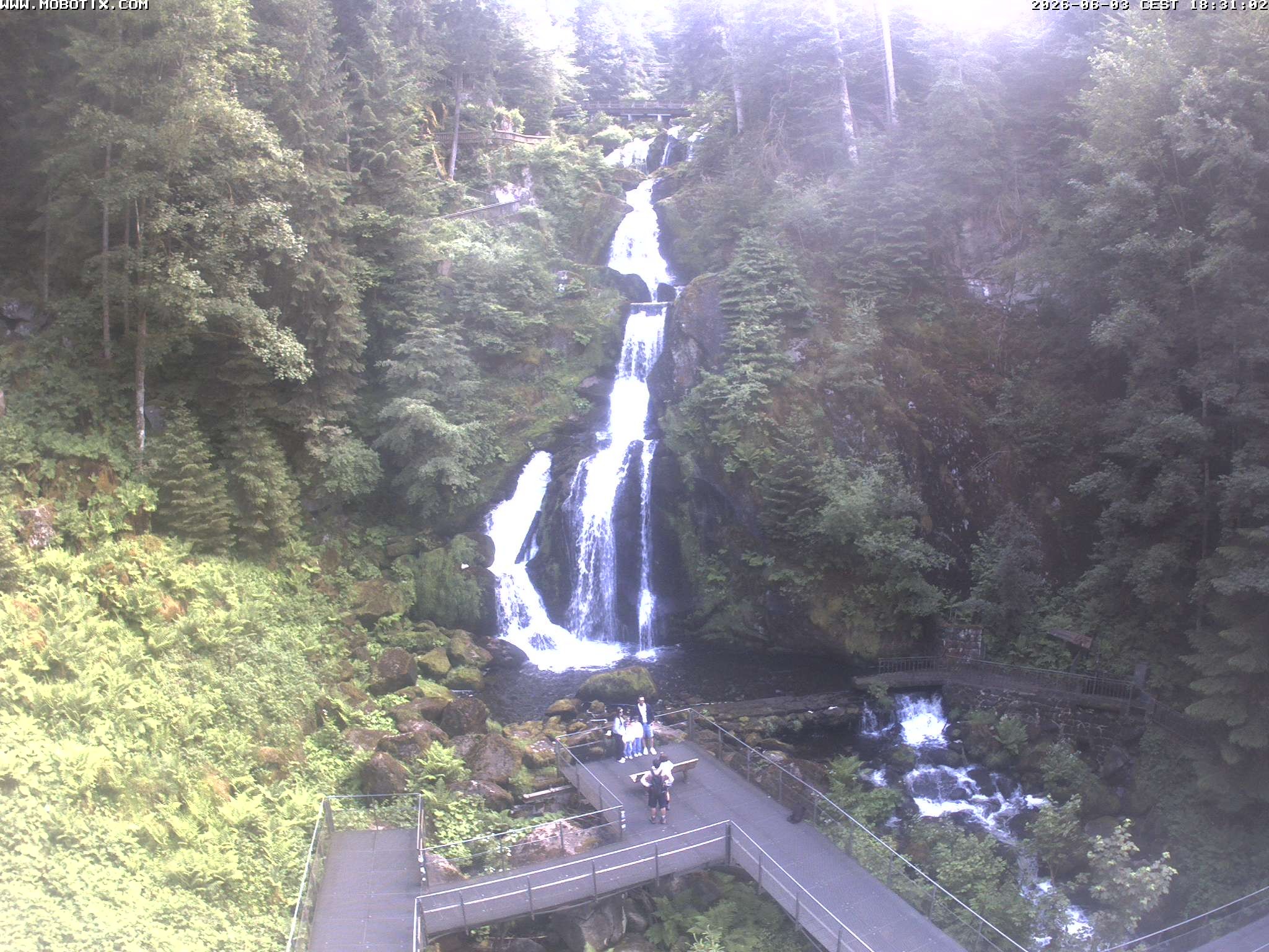 Archived image Webcam Triberg (Black Forest): Waterfalls