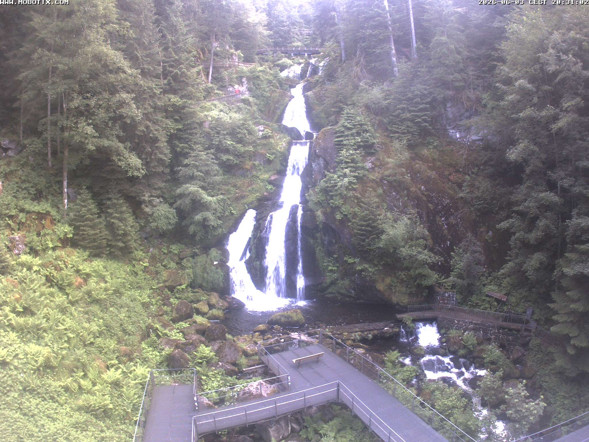 Archived image Webcam Triberg (Black Forest): Waterfalls