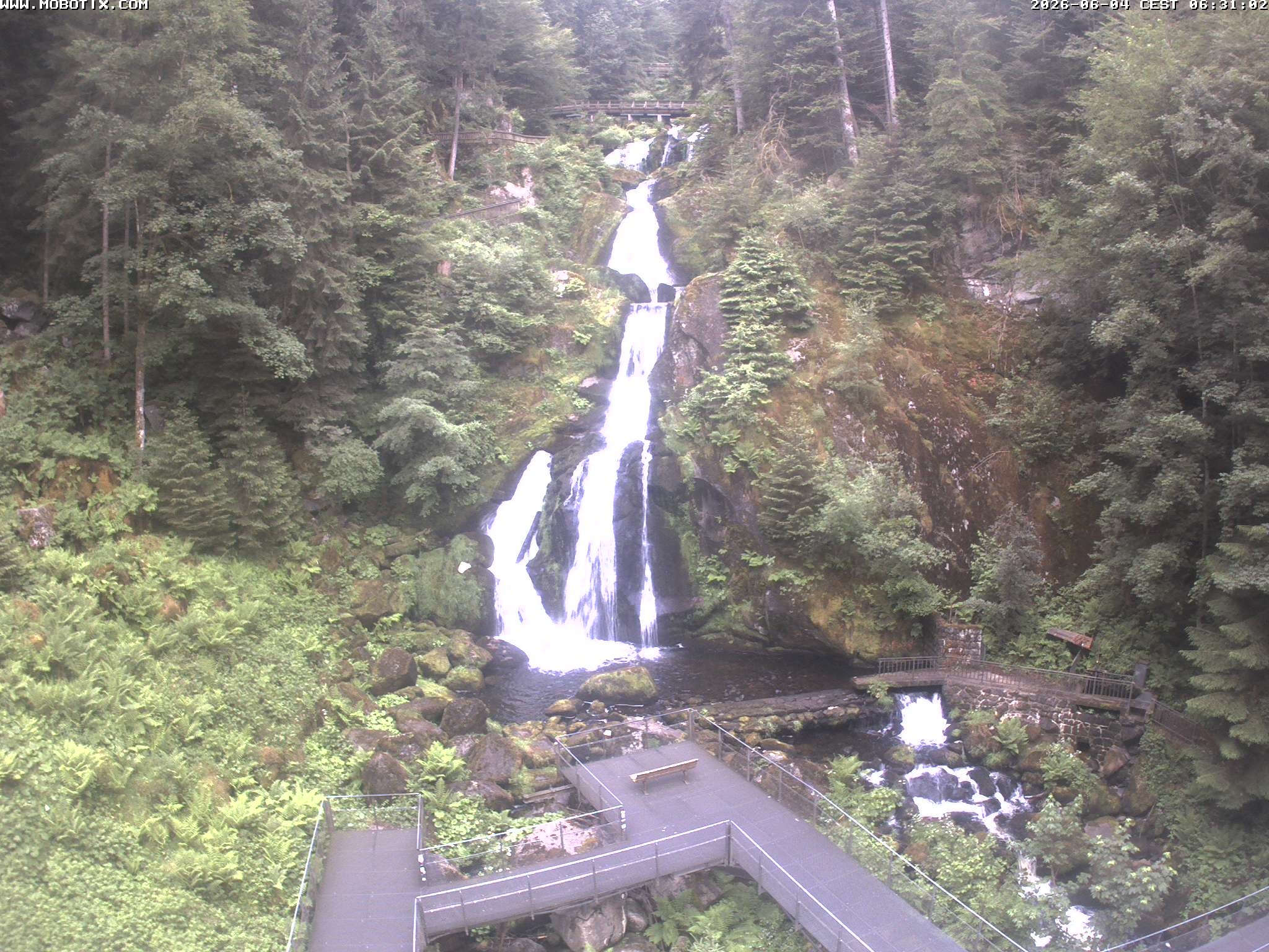 Archiv Foto Webcam Triberg Wasserfälle im Schwarzwald