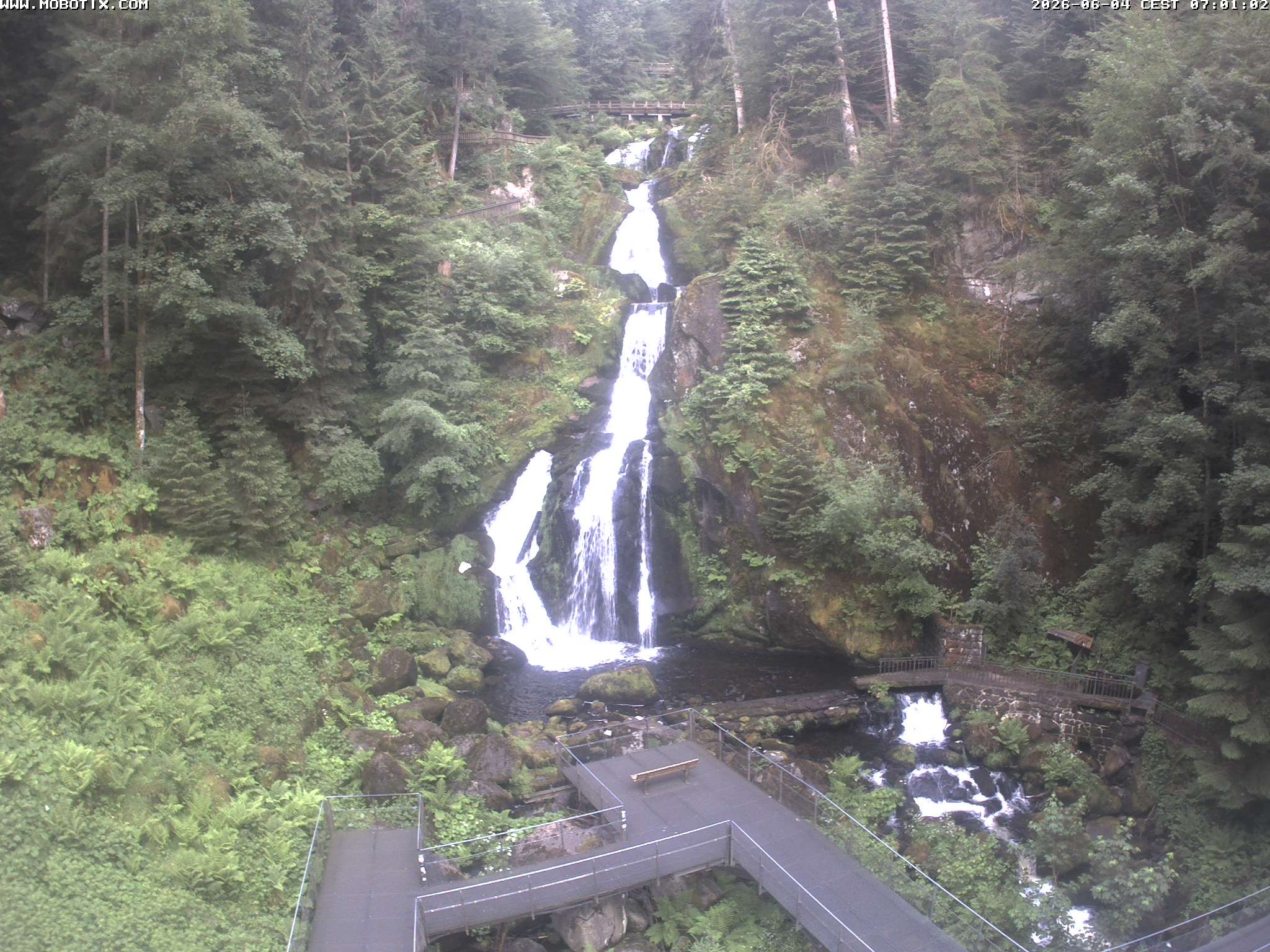 Archiv Foto Webcam Triberg Wasserfälle im Schwarzwald