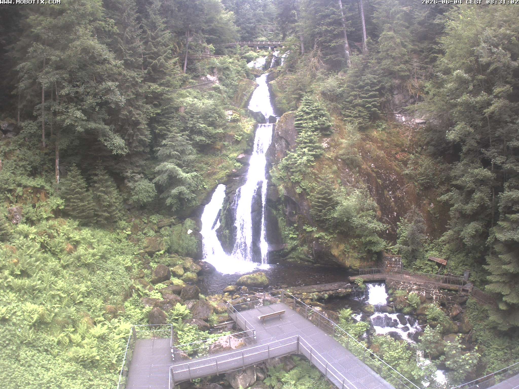 Archiv Foto Webcam Triberg Wasserfälle im Schwarzwald