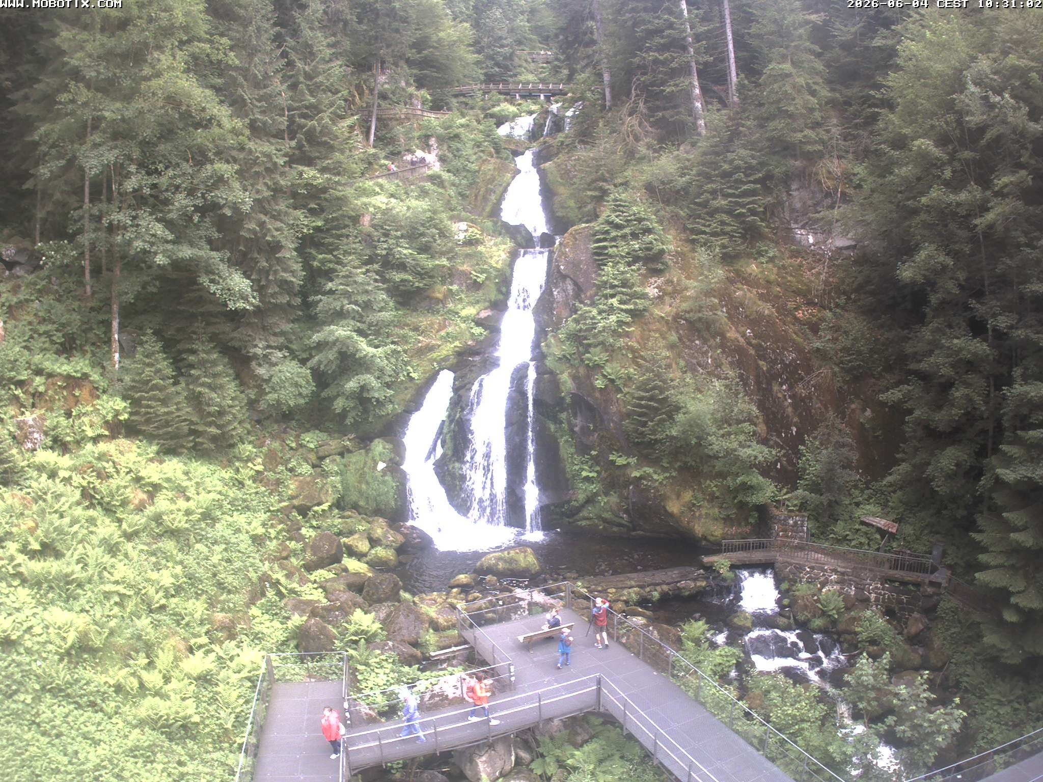 Archiv Foto Webcam Triberg Wasserfälle im Schwarzwald