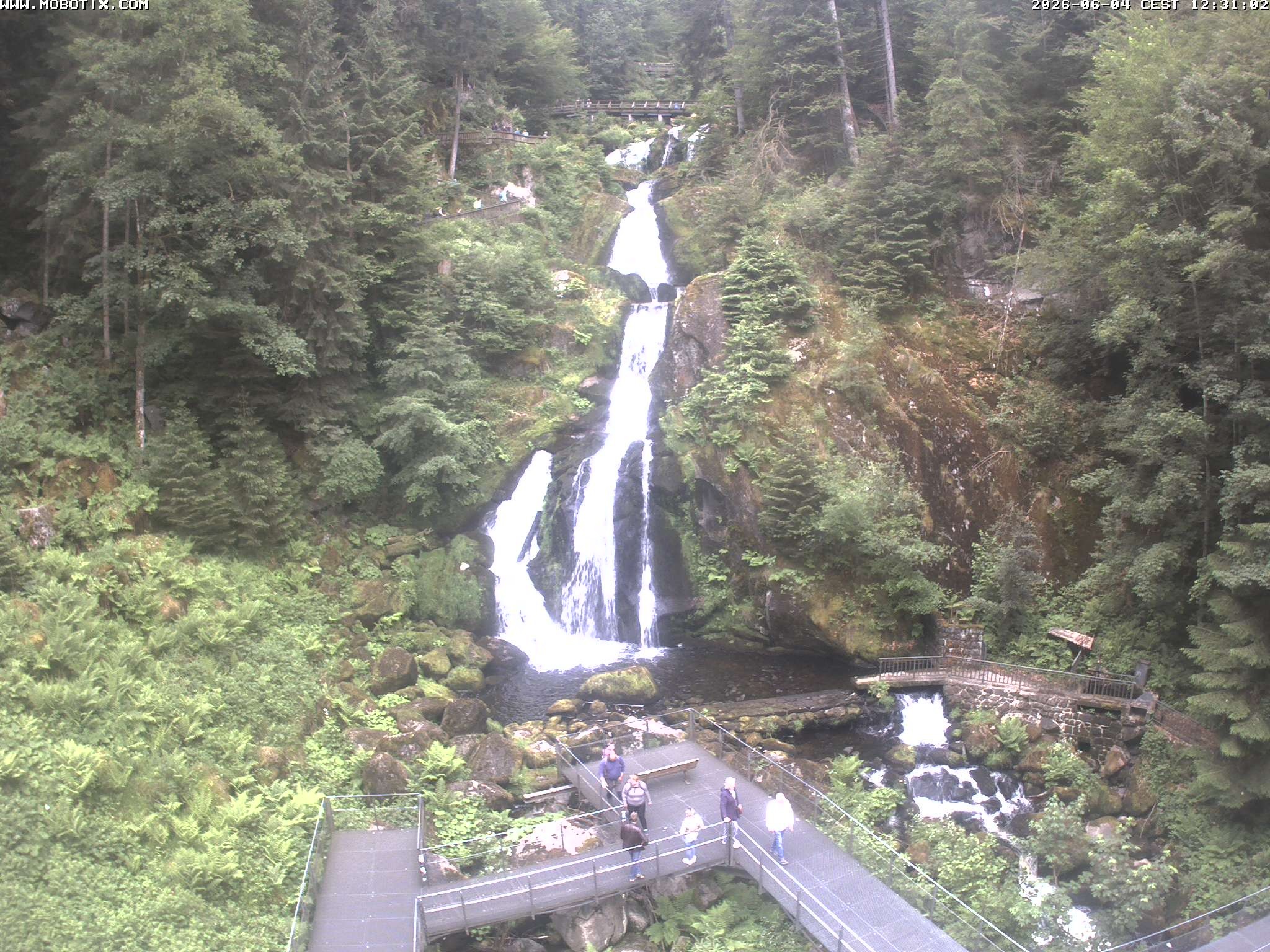 Archiv Foto Webcam Triberg Wasserfälle im Schwarzwald