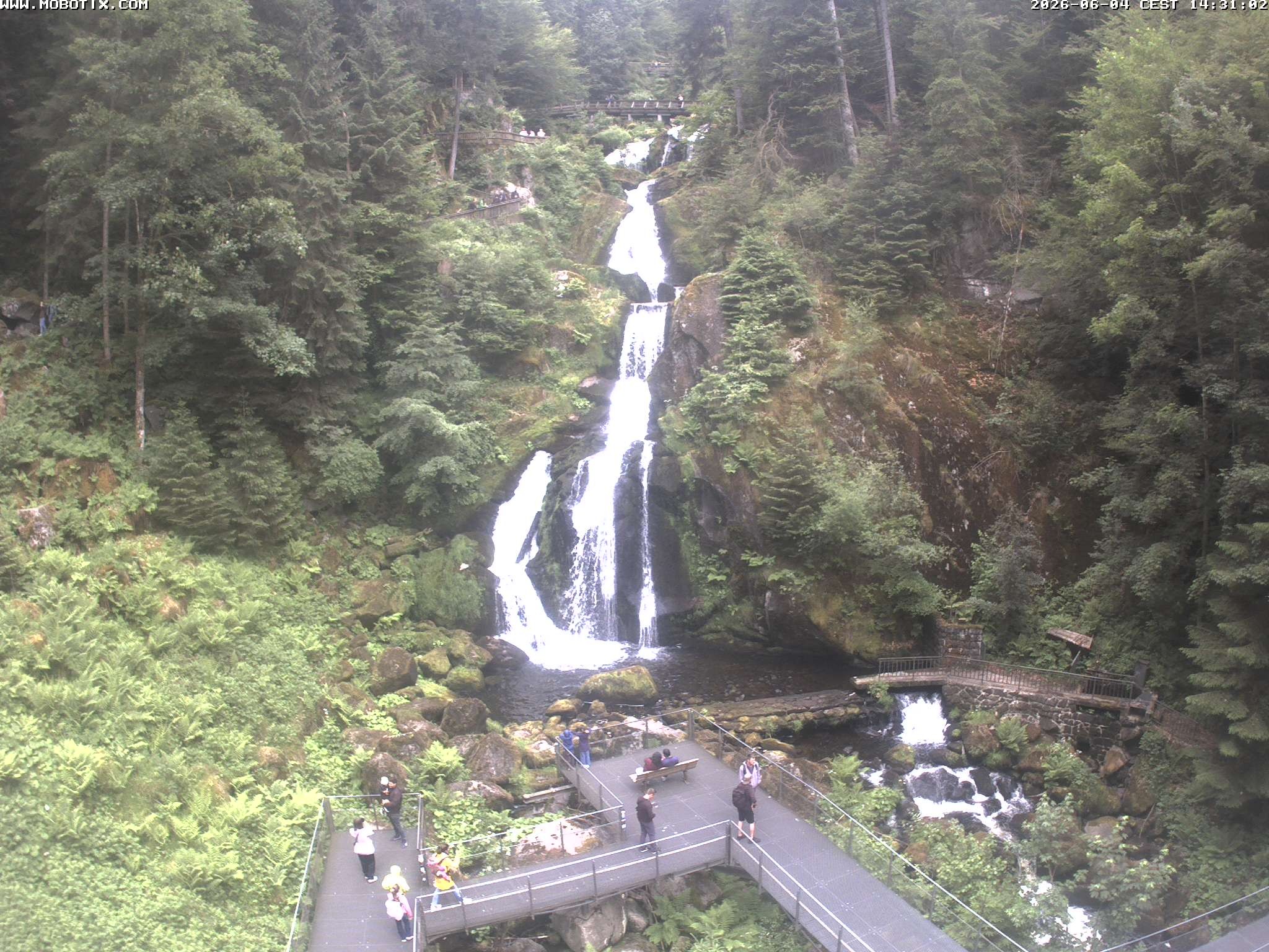Archiv Foto Webcam Triberg Wasserfälle im Schwarzwald