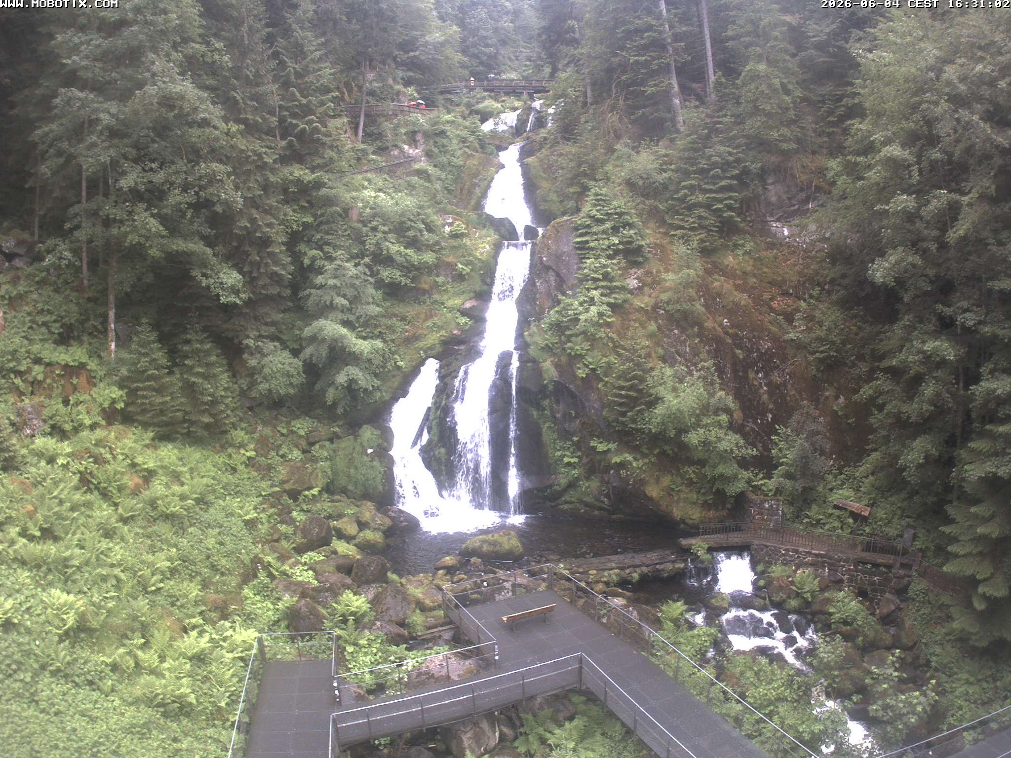Archiv Foto Webcam Triberg Wasserfälle im Schwarzwald