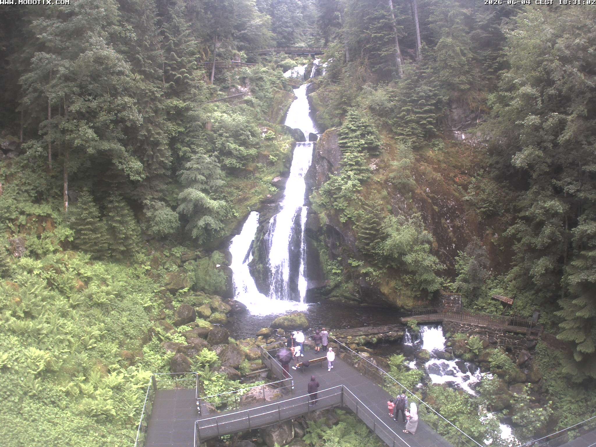Archiv Foto Webcam Triberg Wasserfälle im Schwarzwald
