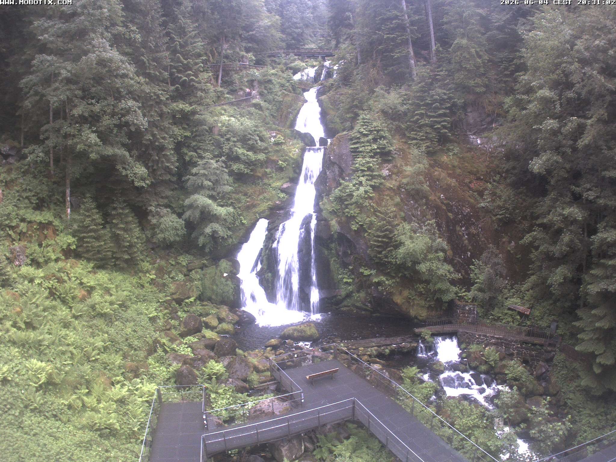Archiv Foto Webcam Triberg Wasserfälle im Schwarzwald