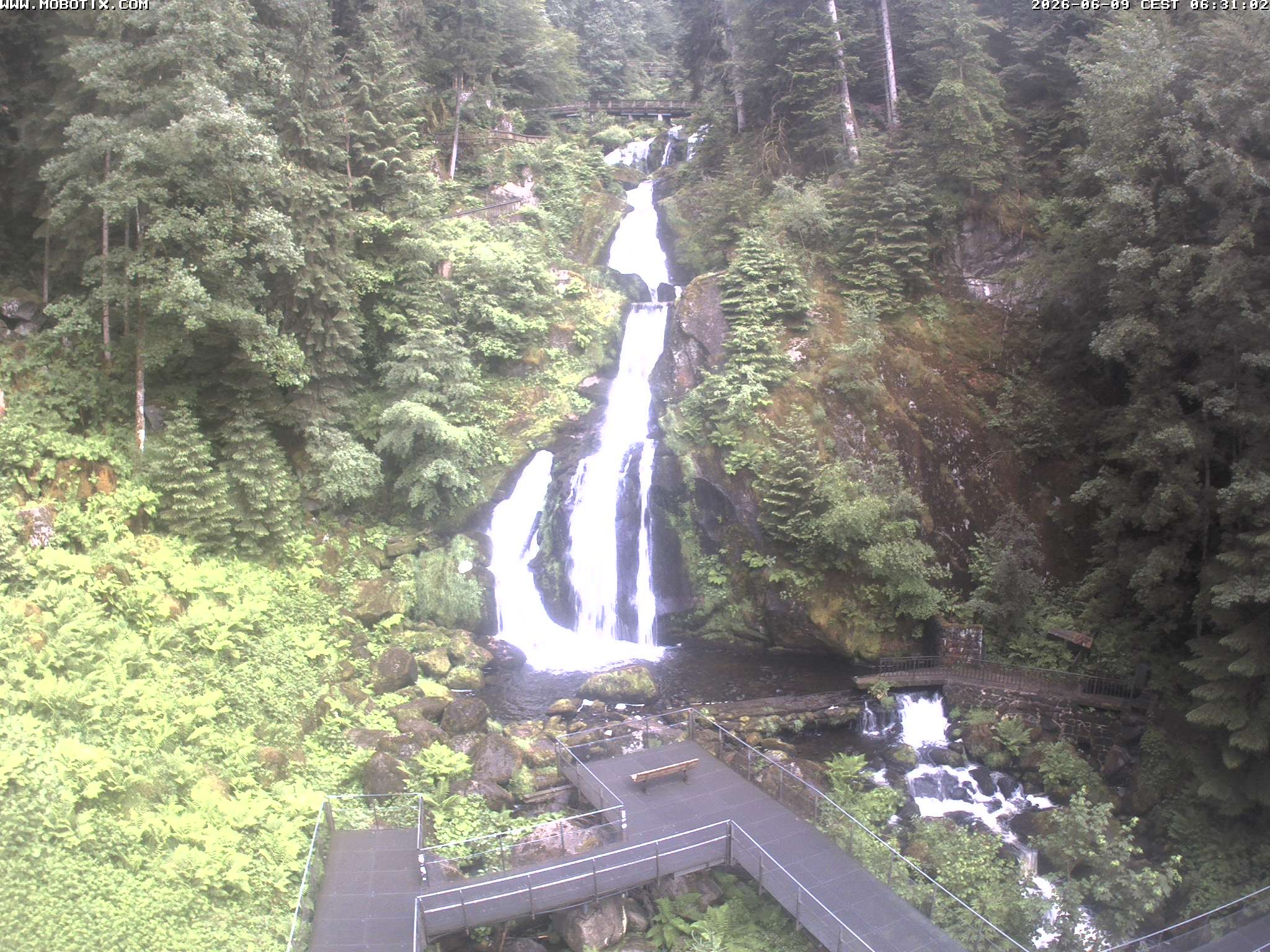 Archiv Foto Webcam Triberg Wasserfälle im Schwarzwald