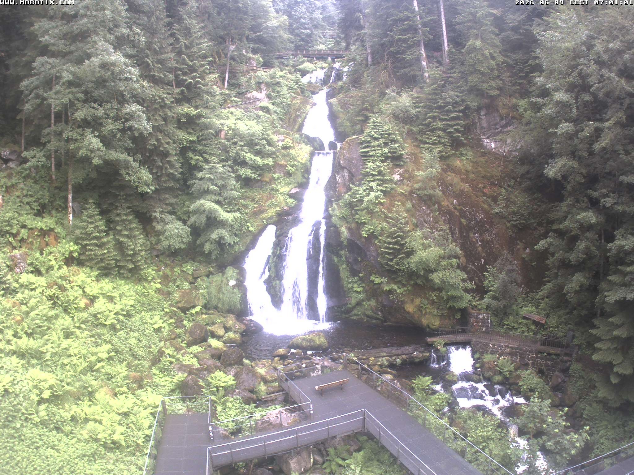 Archiv Foto Webcam Triberg Wasserfälle im Schwarzwald