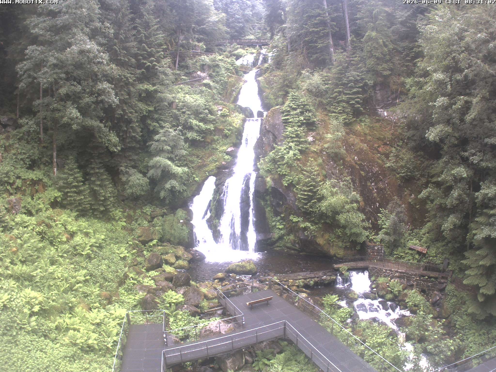 Archiv Foto Webcam Triberg Wasserfälle im Schwarzwald