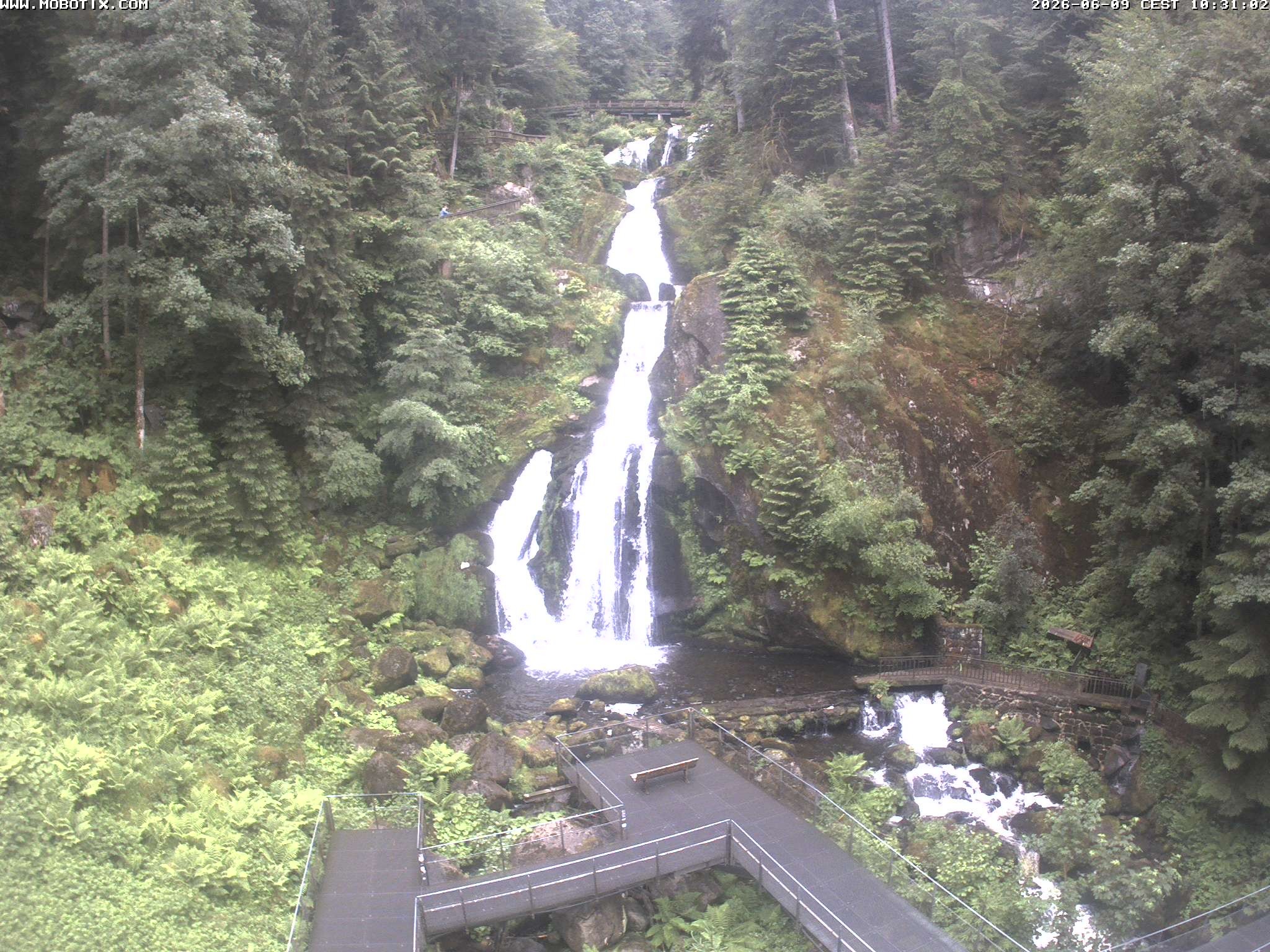 Archiv Foto Webcam Triberg Wasserfälle im Schwarzwald