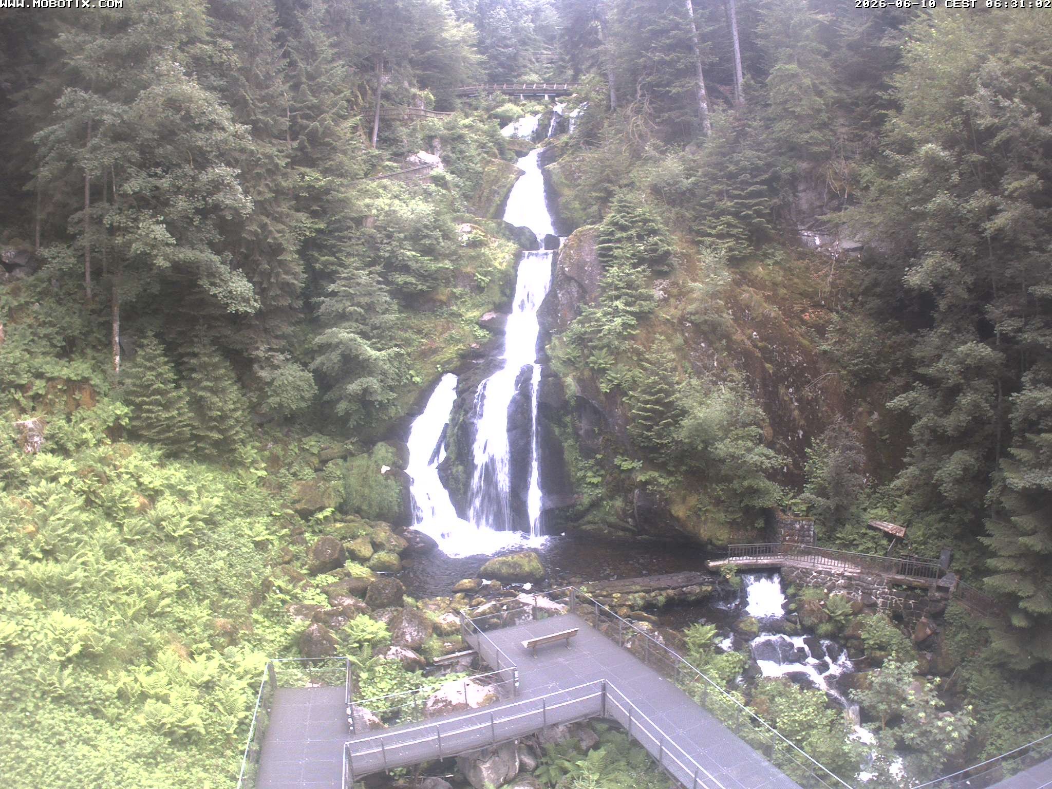 Archived image Webcam Triberg (Black Forest): Waterfalls