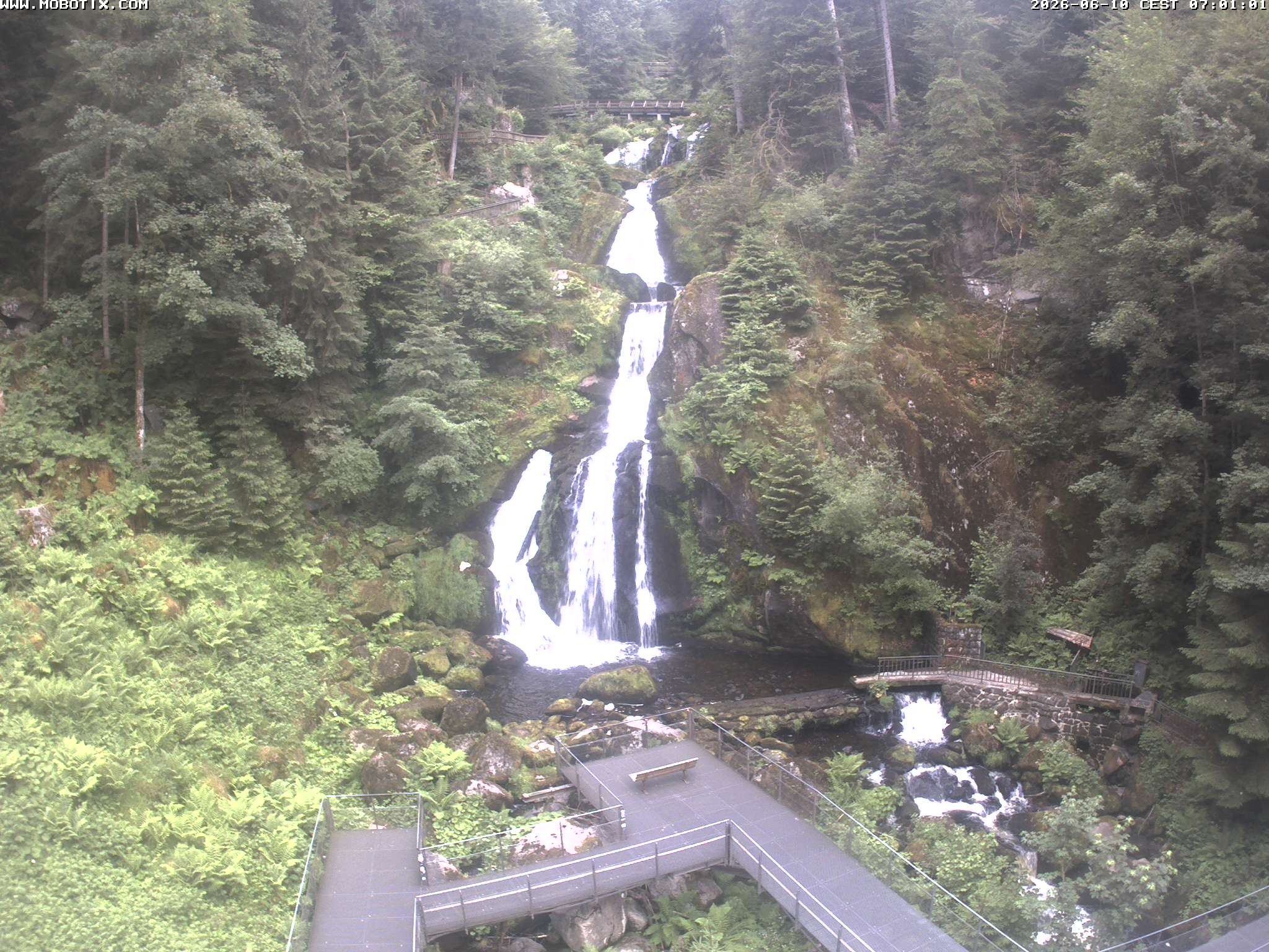 Archived image Webcam Triberg (Black Forest): Waterfalls
