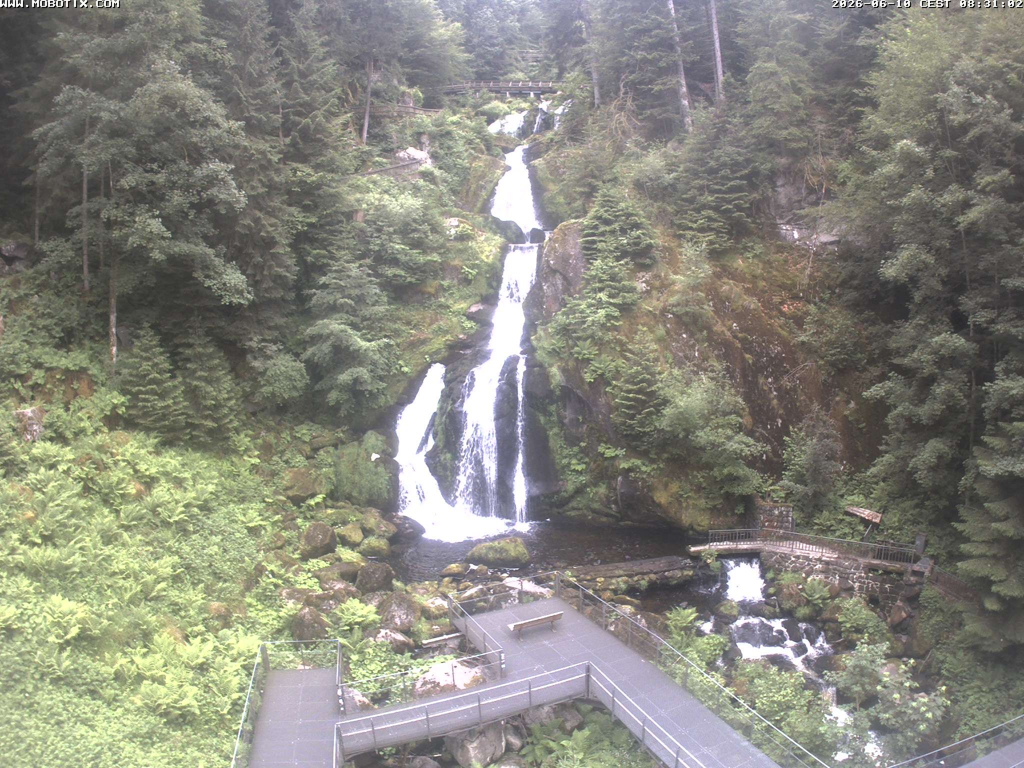 Archived image Webcam Triberg (Black Forest): Waterfalls