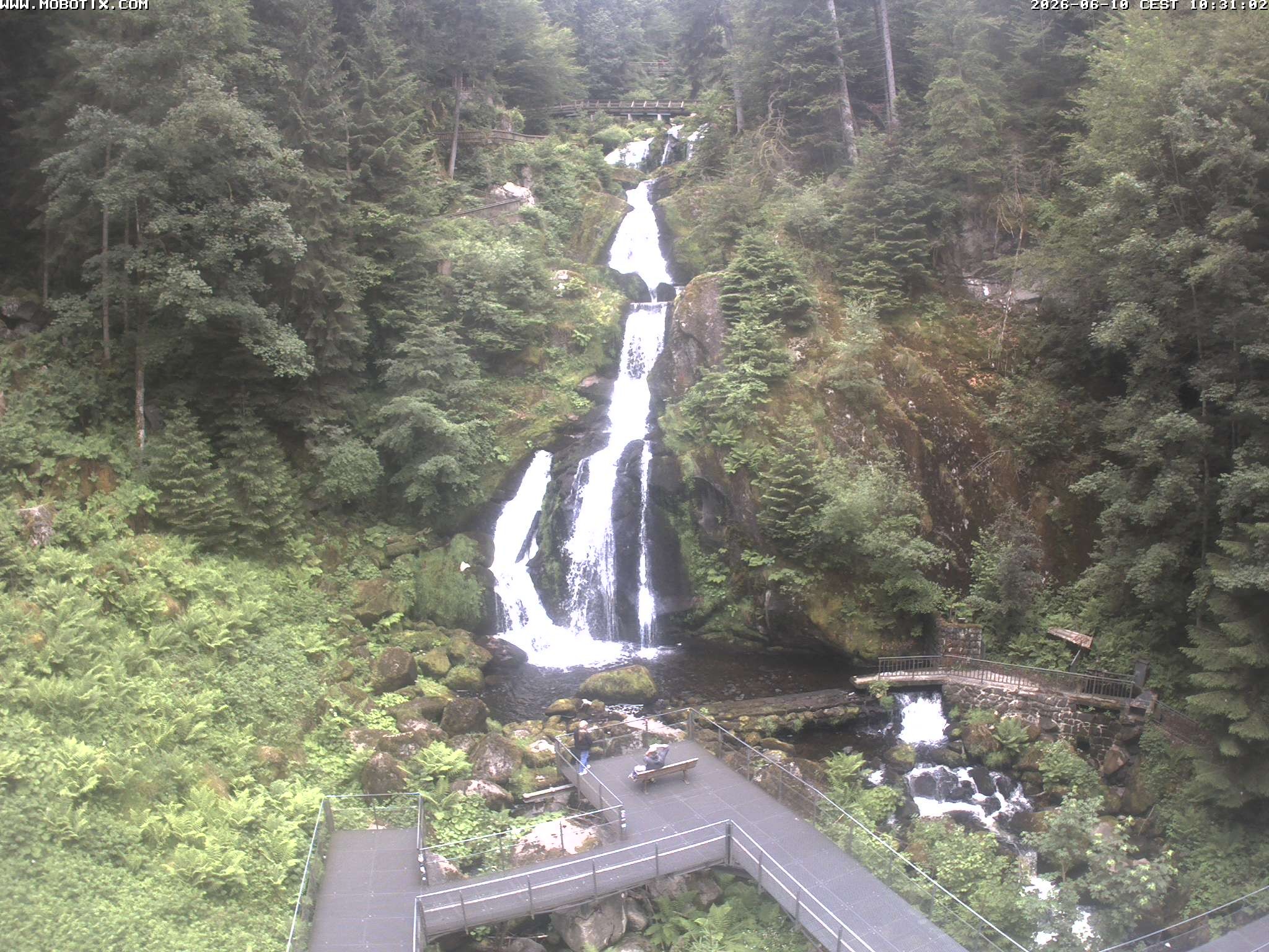 Archived image Webcam Triberg (Black Forest): Waterfalls