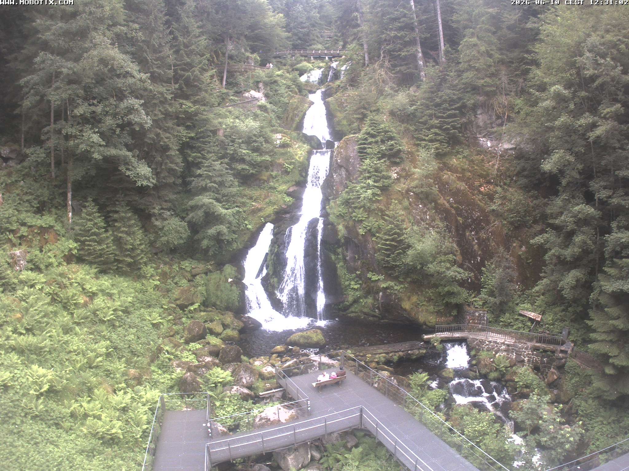 Archived image Webcam Triberg (Black Forest): Waterfalls