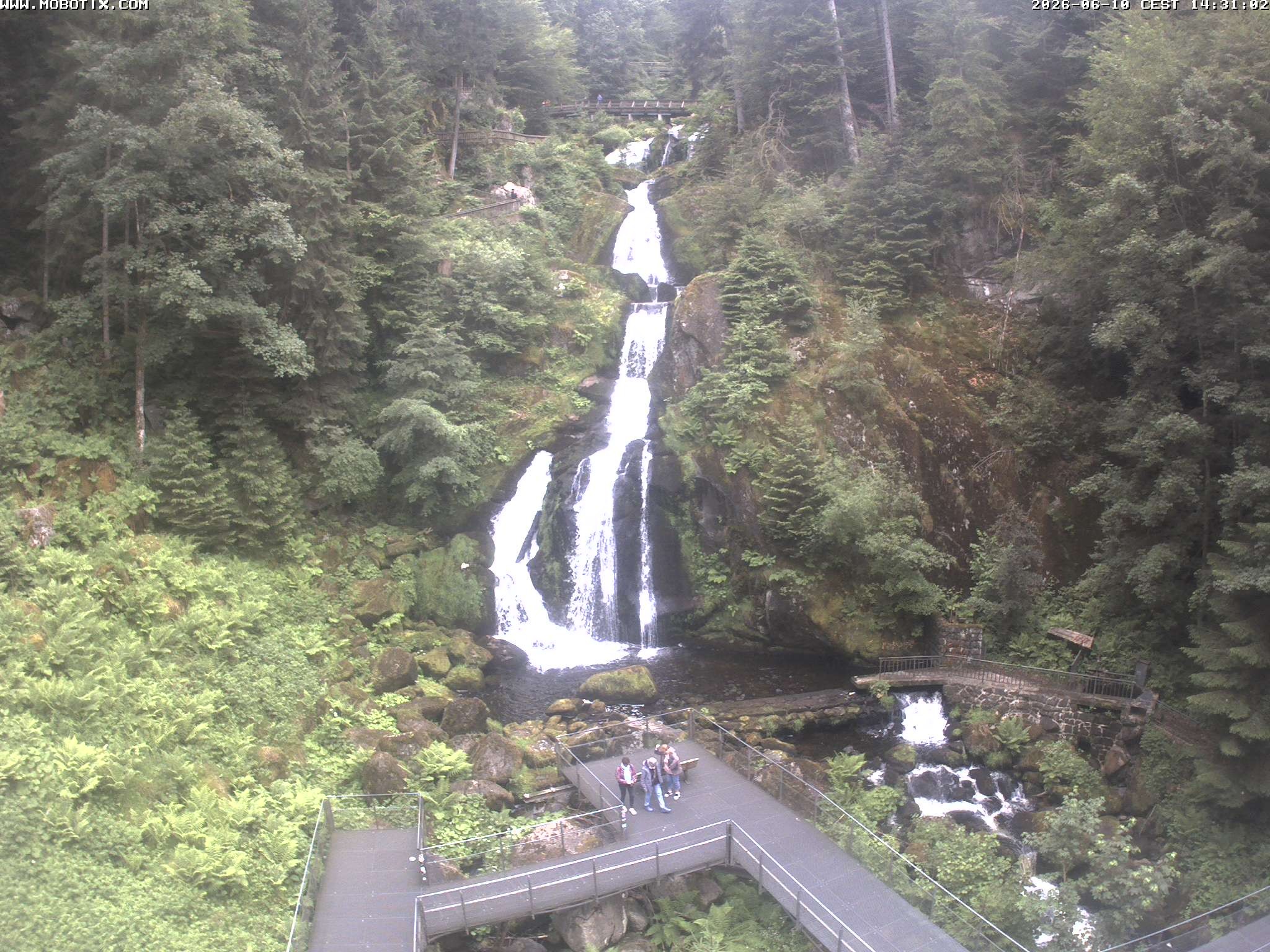 Archived image Webcam Triberg (Black Forest): Waterfalls
