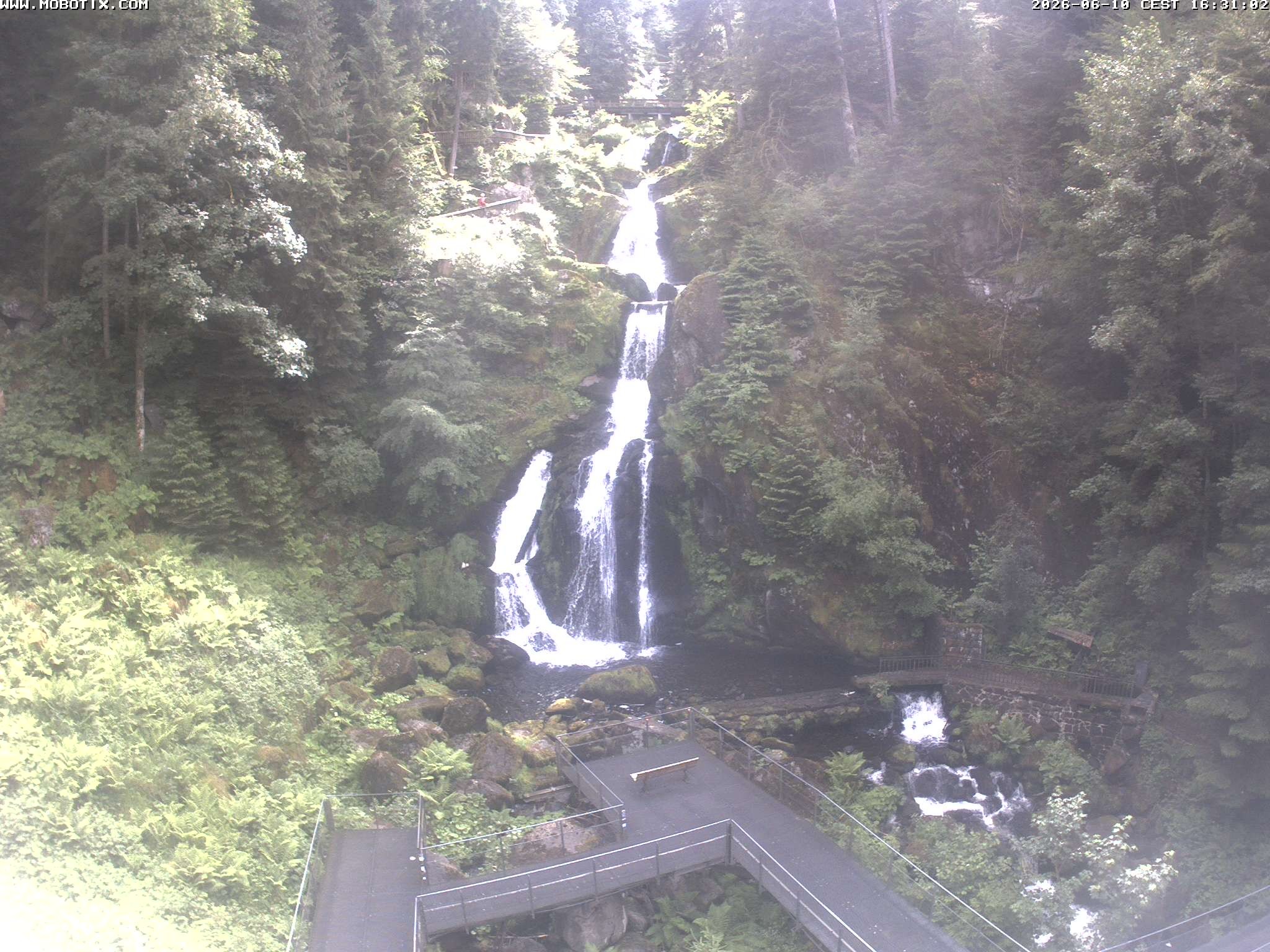 Archiv Foto Webcam Triberg Wasserfälle im Schwarzwald