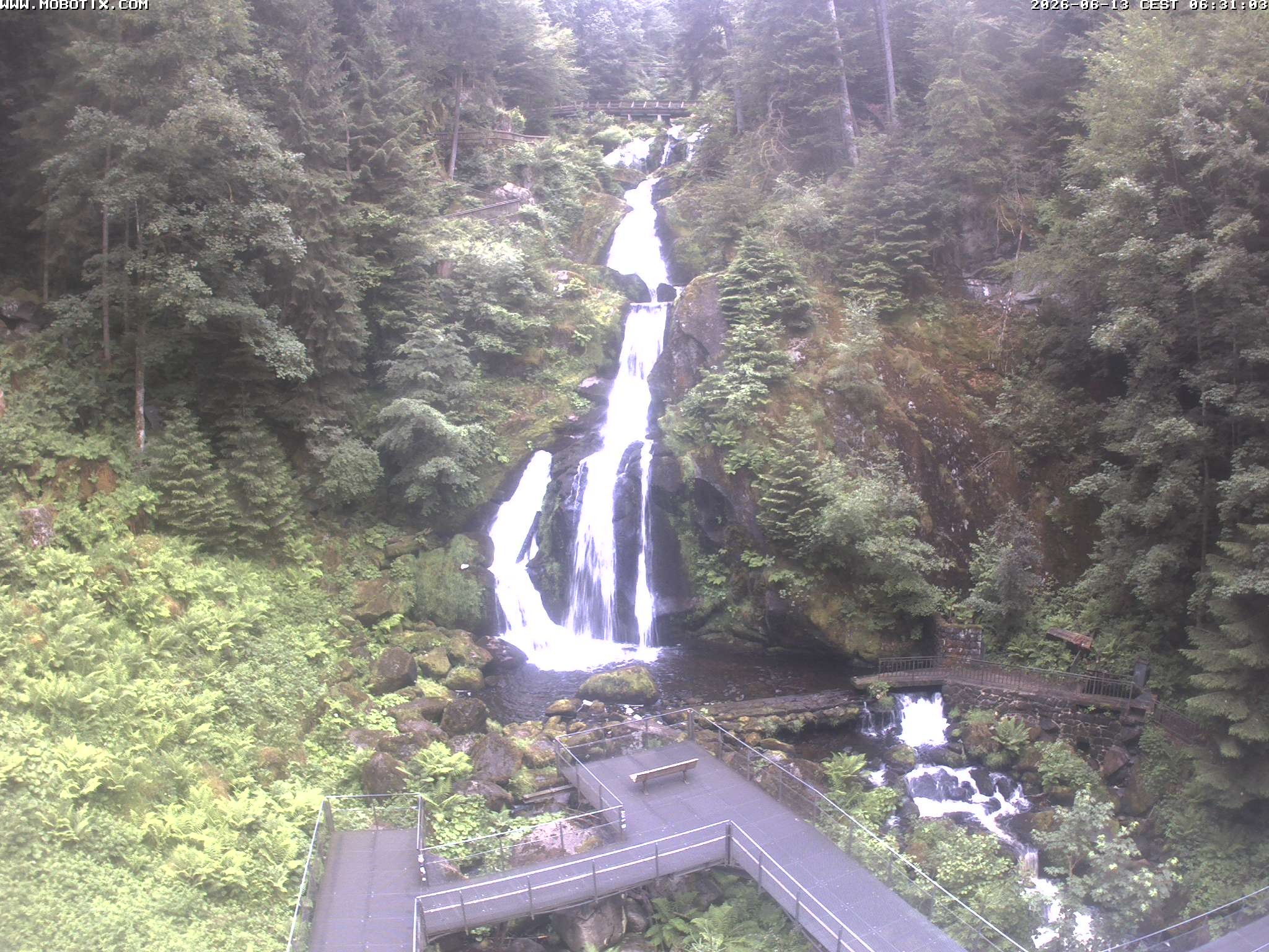 Archived image Webcam Triberg (Black Forest): Waterfalls