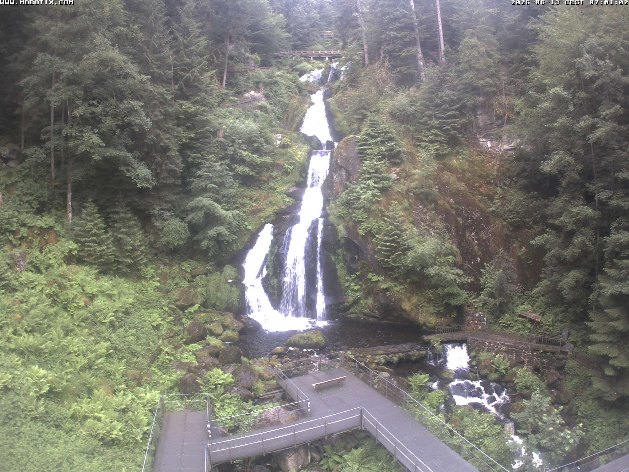 Archived image Webcam Triberg (Black Forest): Waterfalls
