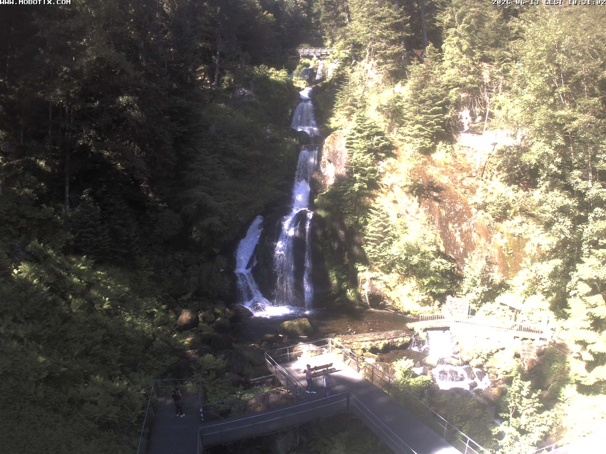 Archived image Webcam Triberg (Black Forest): Waterfalls