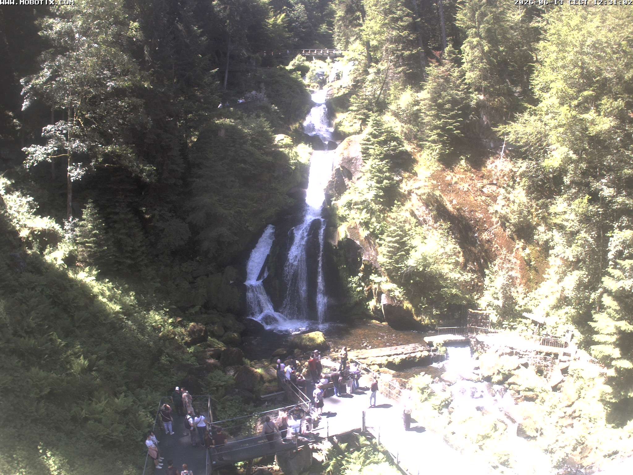 Archived image Webcam Triberg (Black Forest): Waterfalls