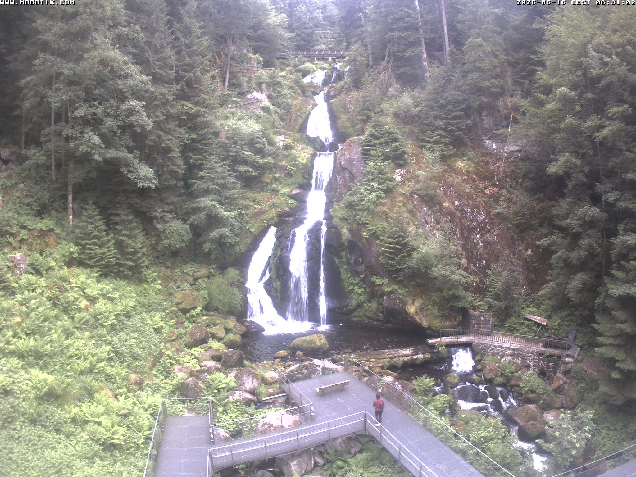 Archiv Foto Webcam Triberg Wasserfälle im Schwarzwald