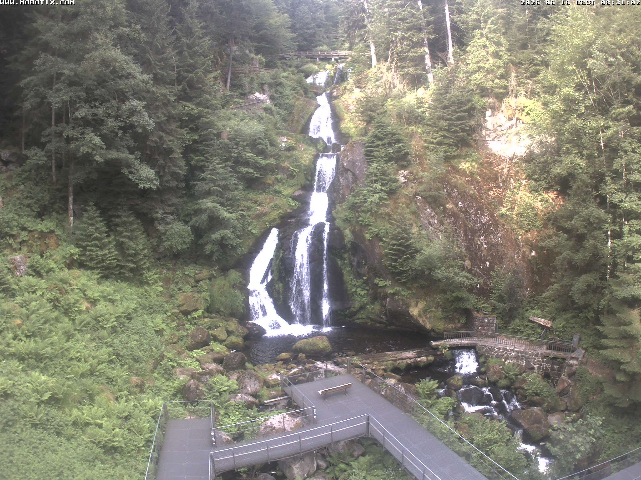 Archiv Foto Webcam Triberg Wasserfälle im Schwarzwald