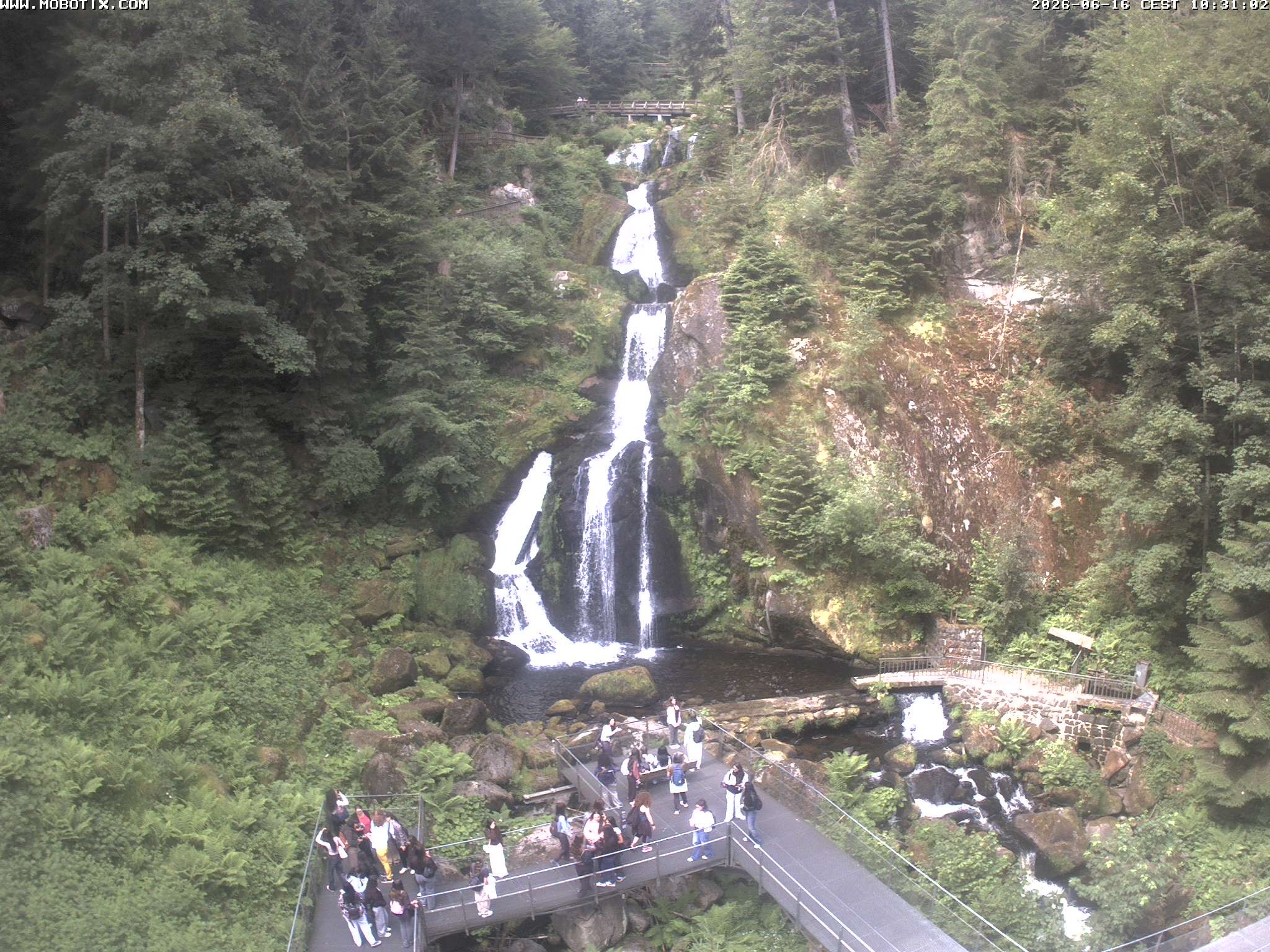 Archiv Foto Webcam Triberg Wasserfälle im Schwarzwald