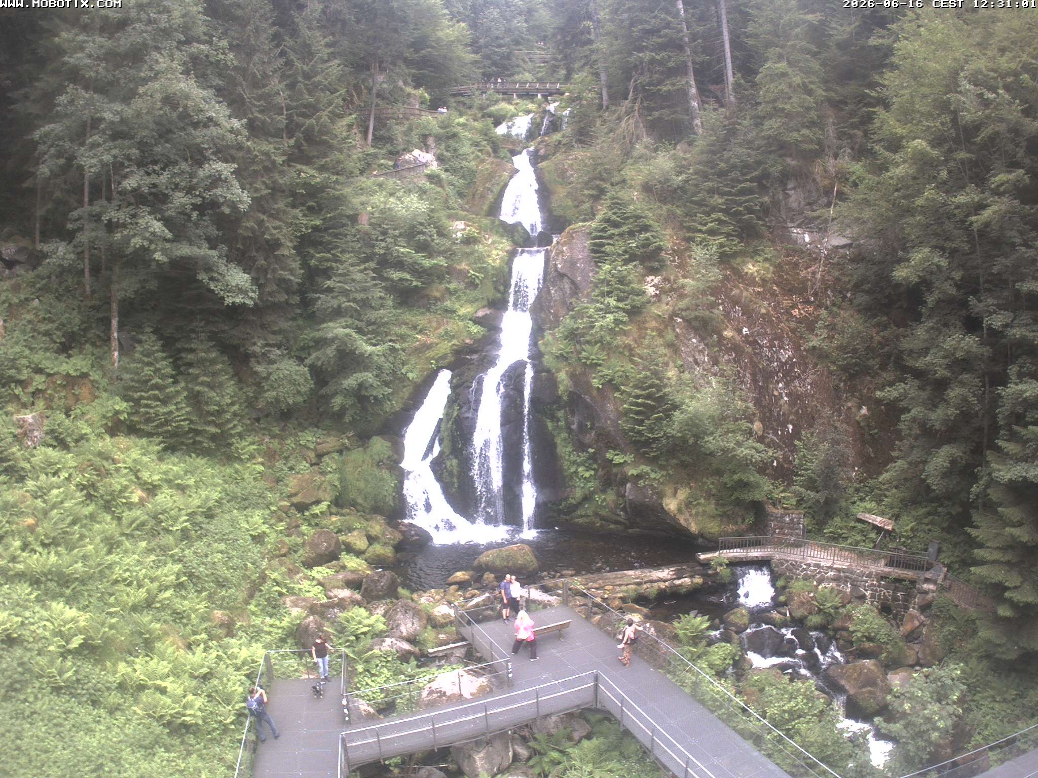 Archiv Foto Webcam Triberg Wasserfälle im Schwarzwald
