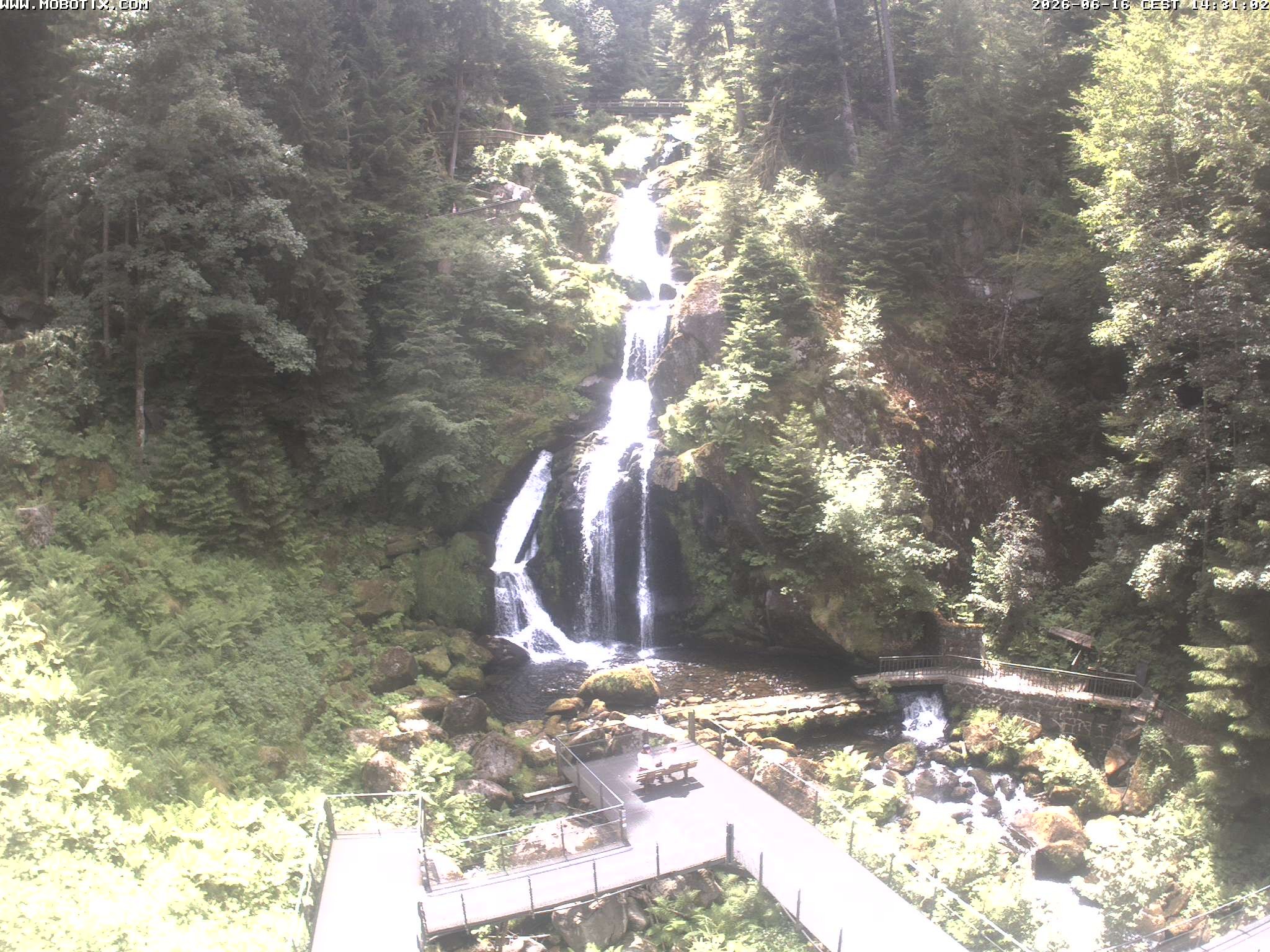 Archived image Webcam Triberg (Black Forest): Waterfalls