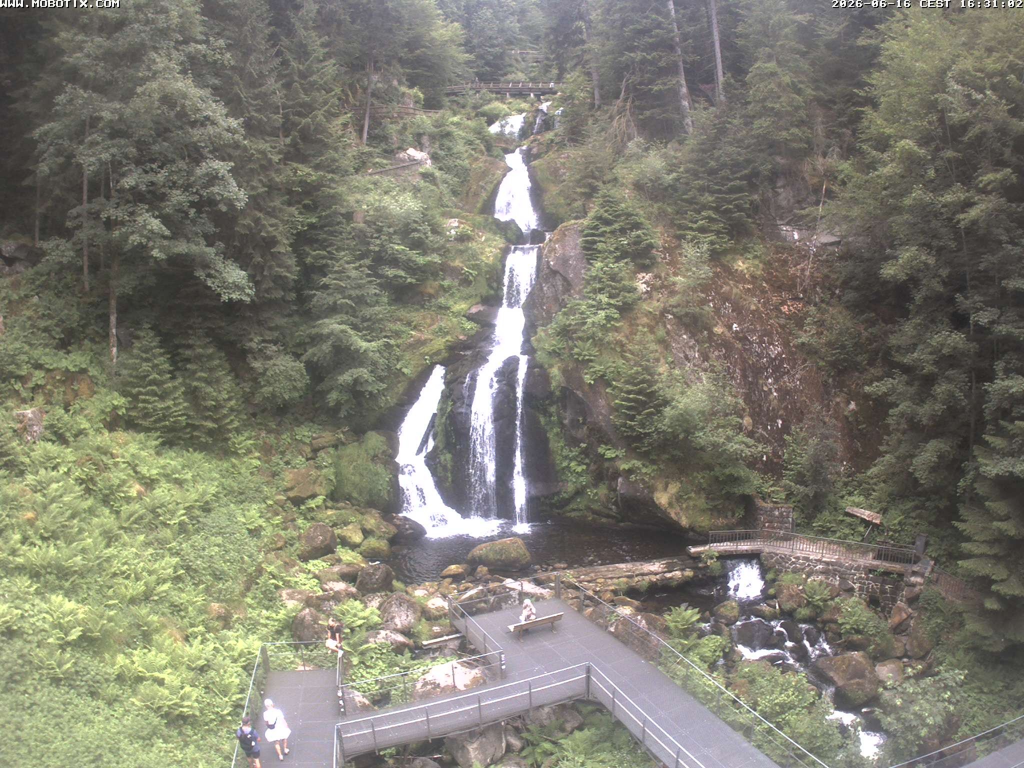 Archived image Webcam Triberg (Black Forest): Waterfalls