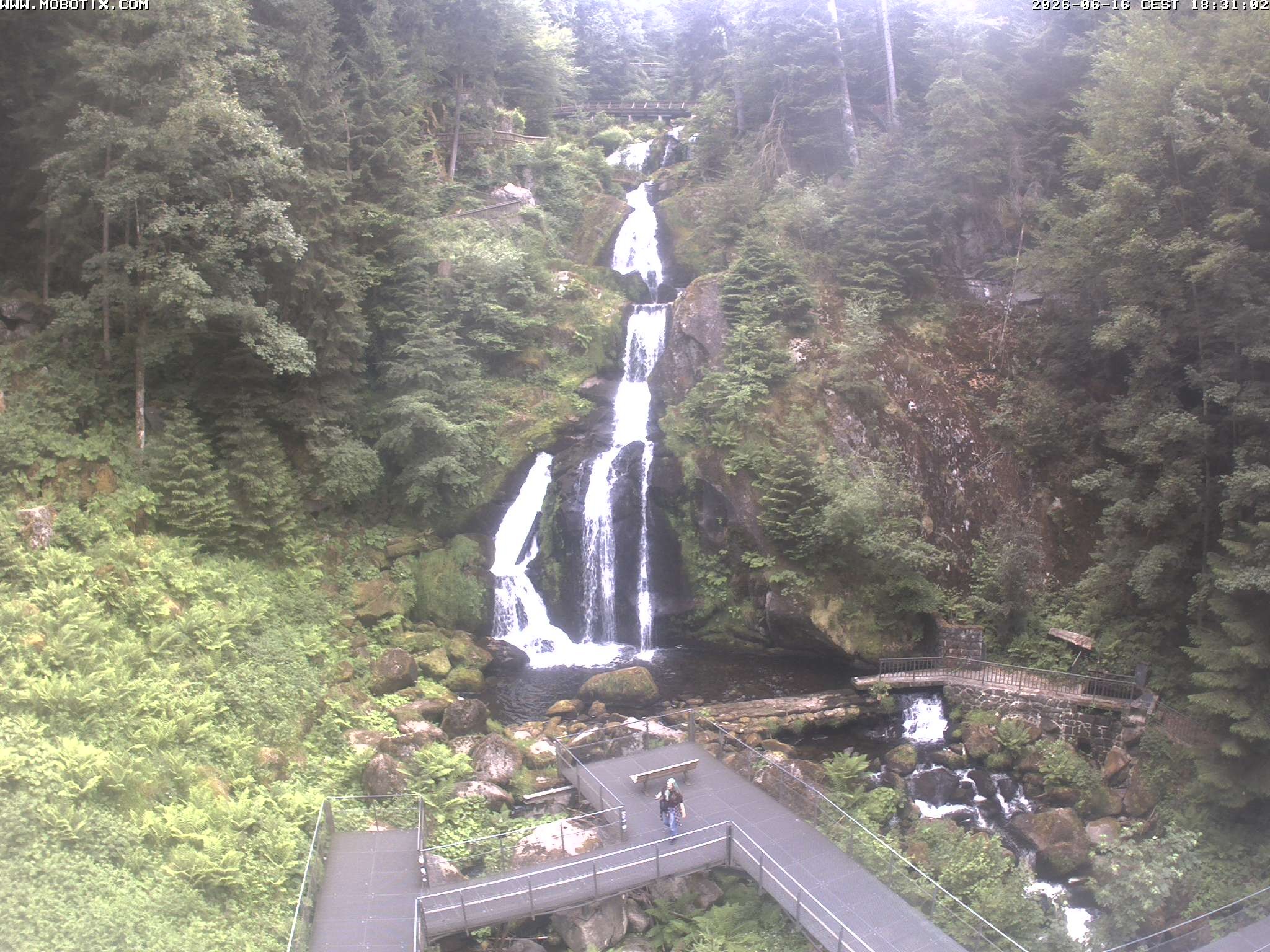 Archived image Webcam Triberg (Black Forest): Waterfalls